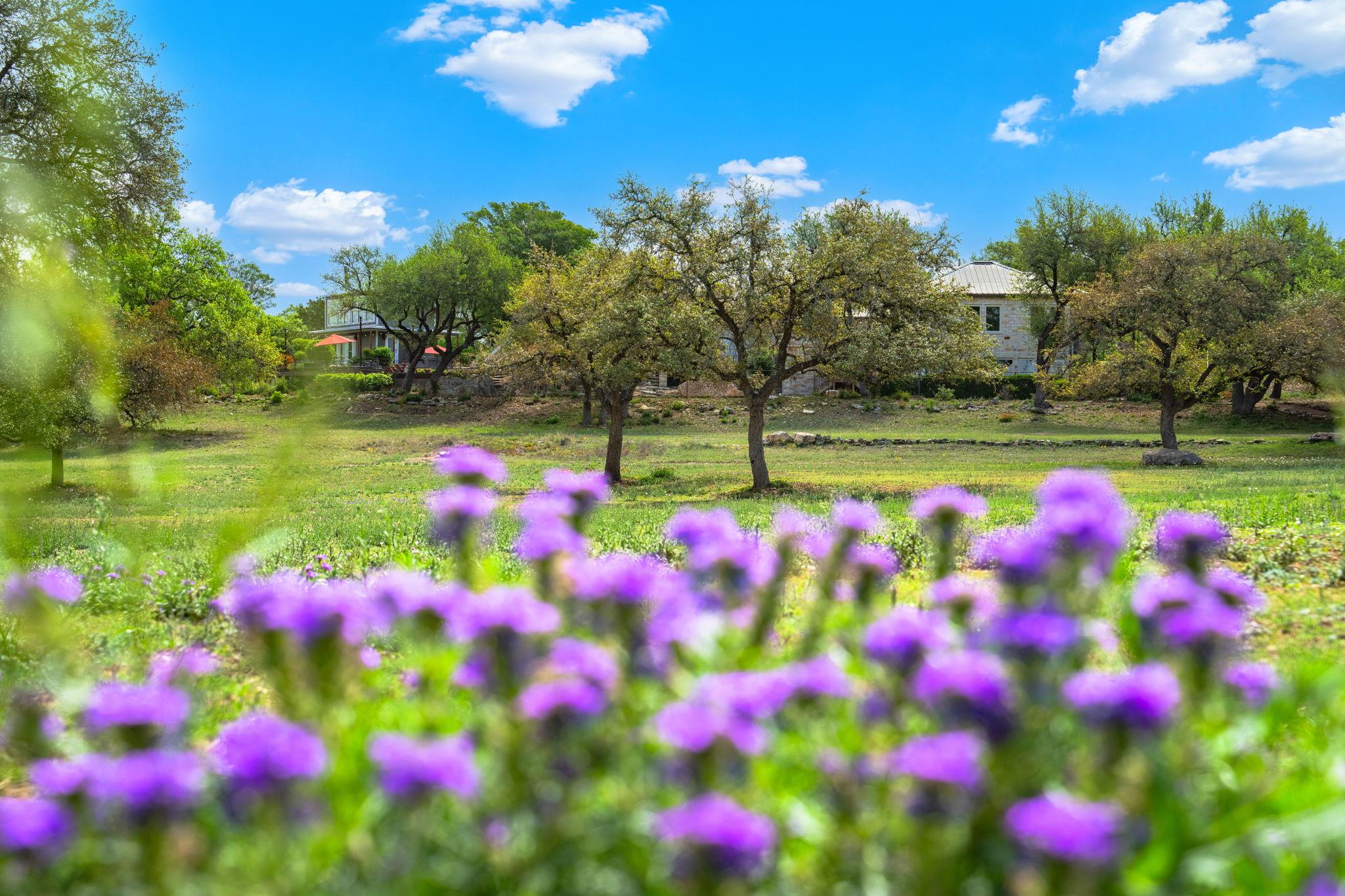 100 Rainbows End, Wimberley, TX 78676