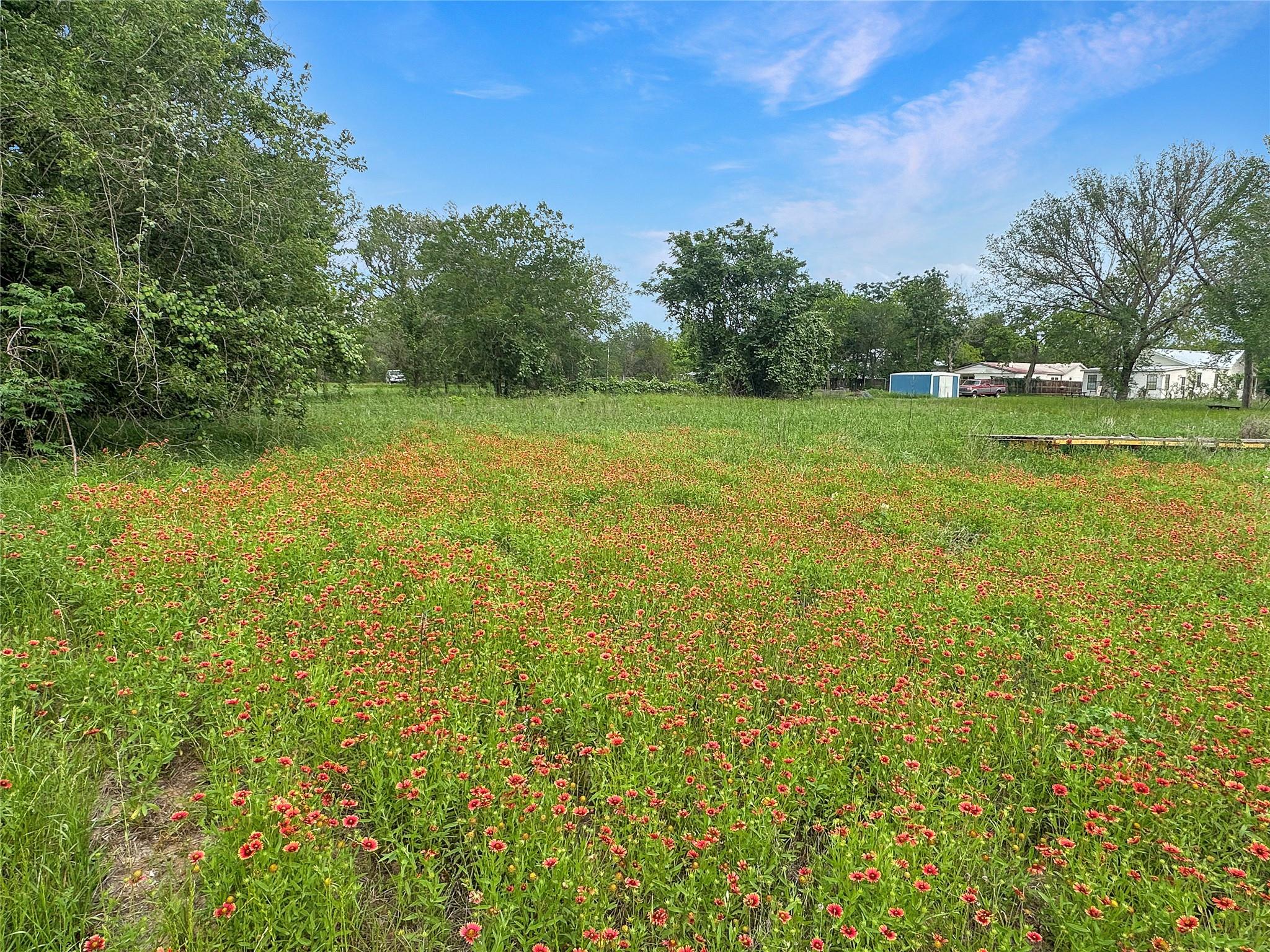 1314 Farm St, Bastrop, TX 78602