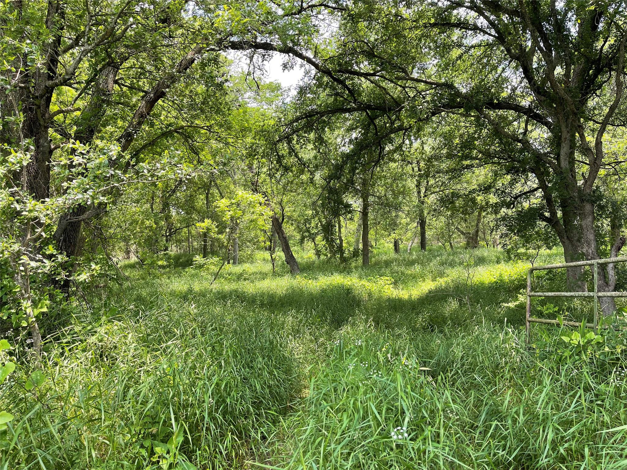 607 County Road 2371 Rd, Meridian, TX 76665