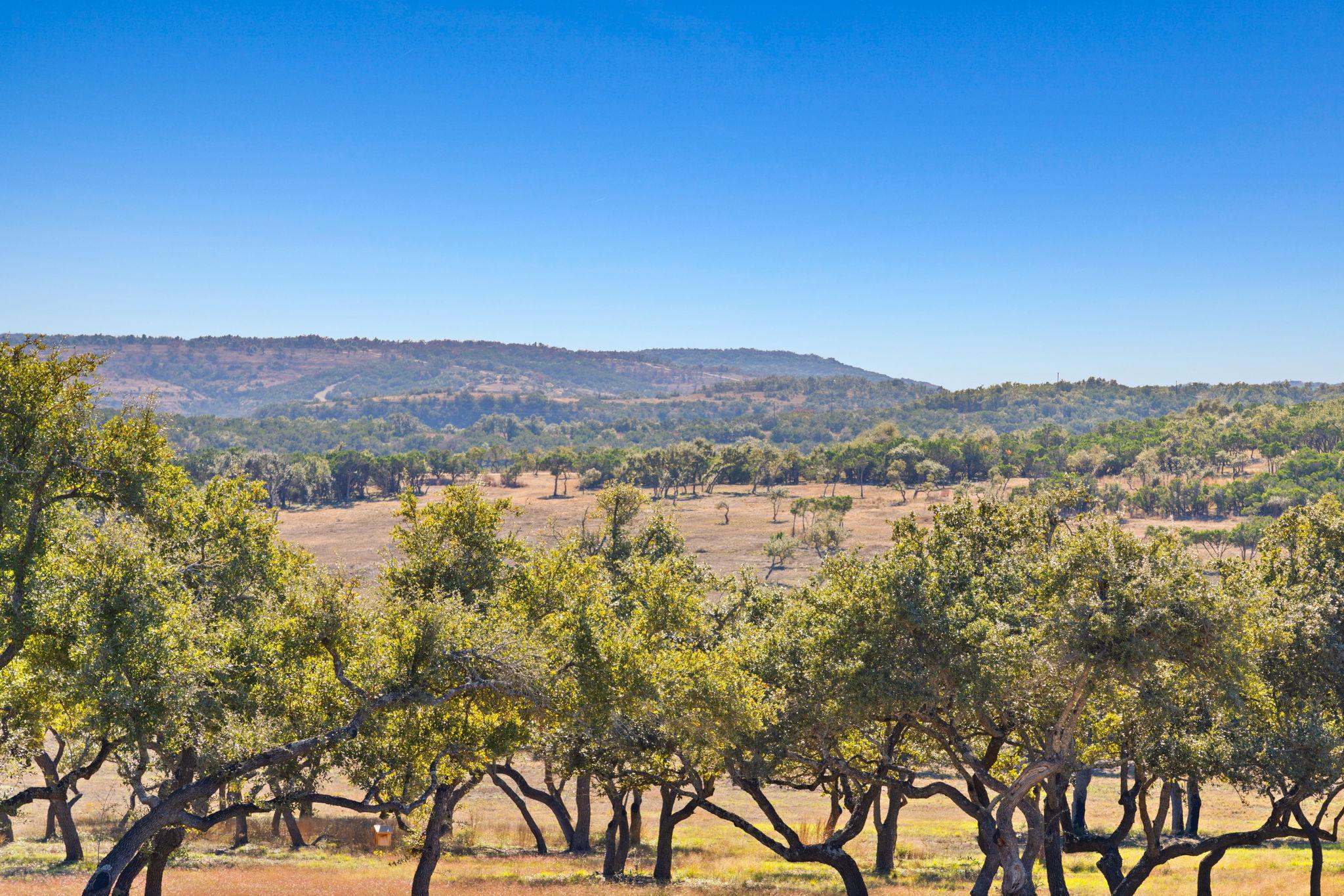 3300 RM-165 - Lot 2, Dripping Springs, TX 78620