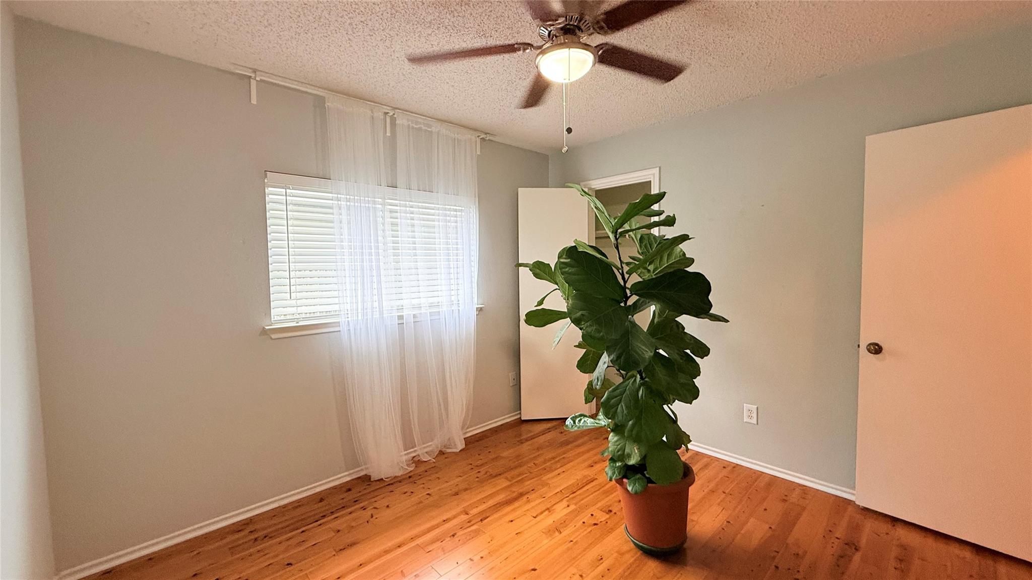 3324 Perch Trl, Round Rock, TX 78665