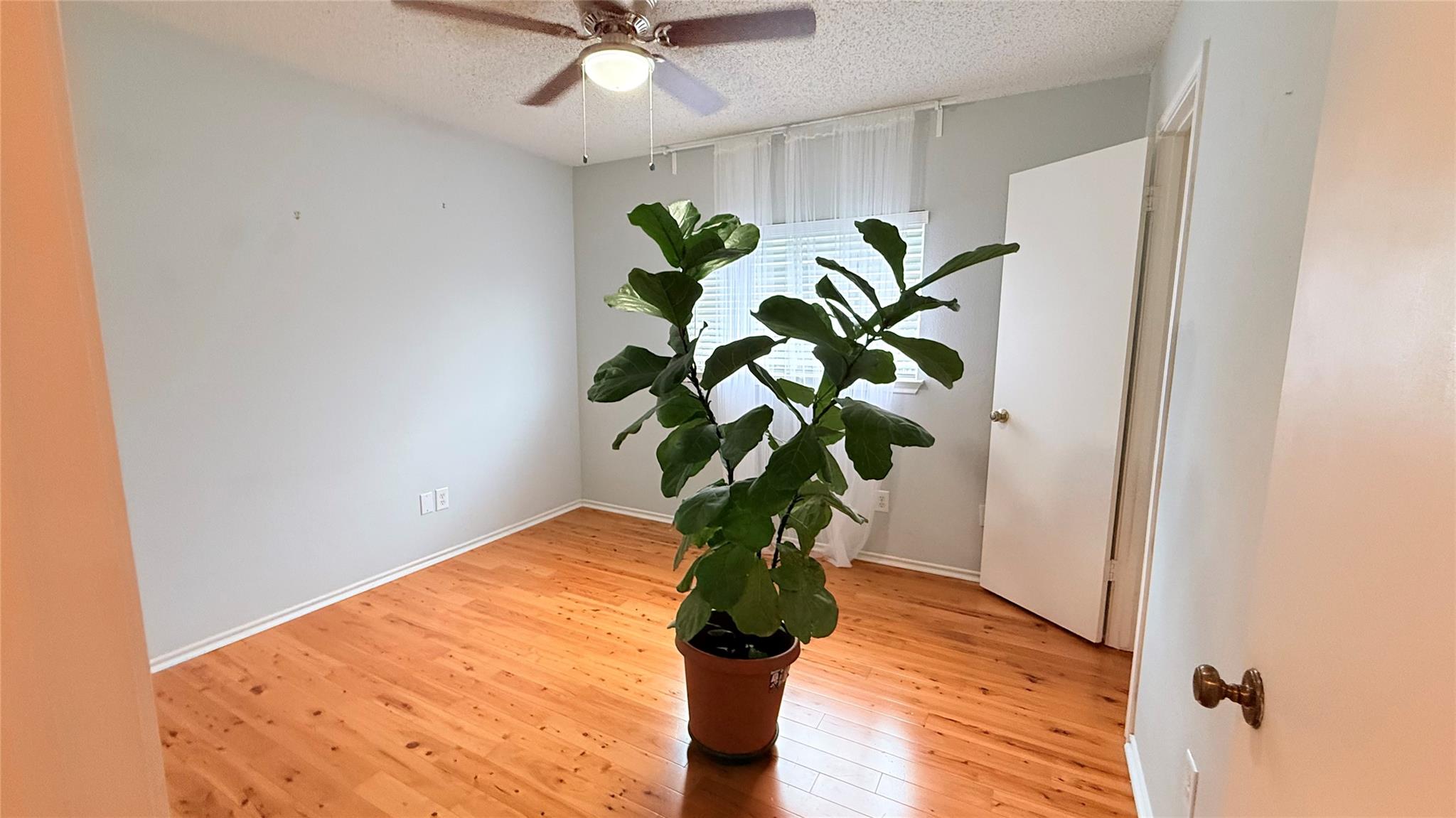 3324 Perch Trl, Round Rock, TX 78665