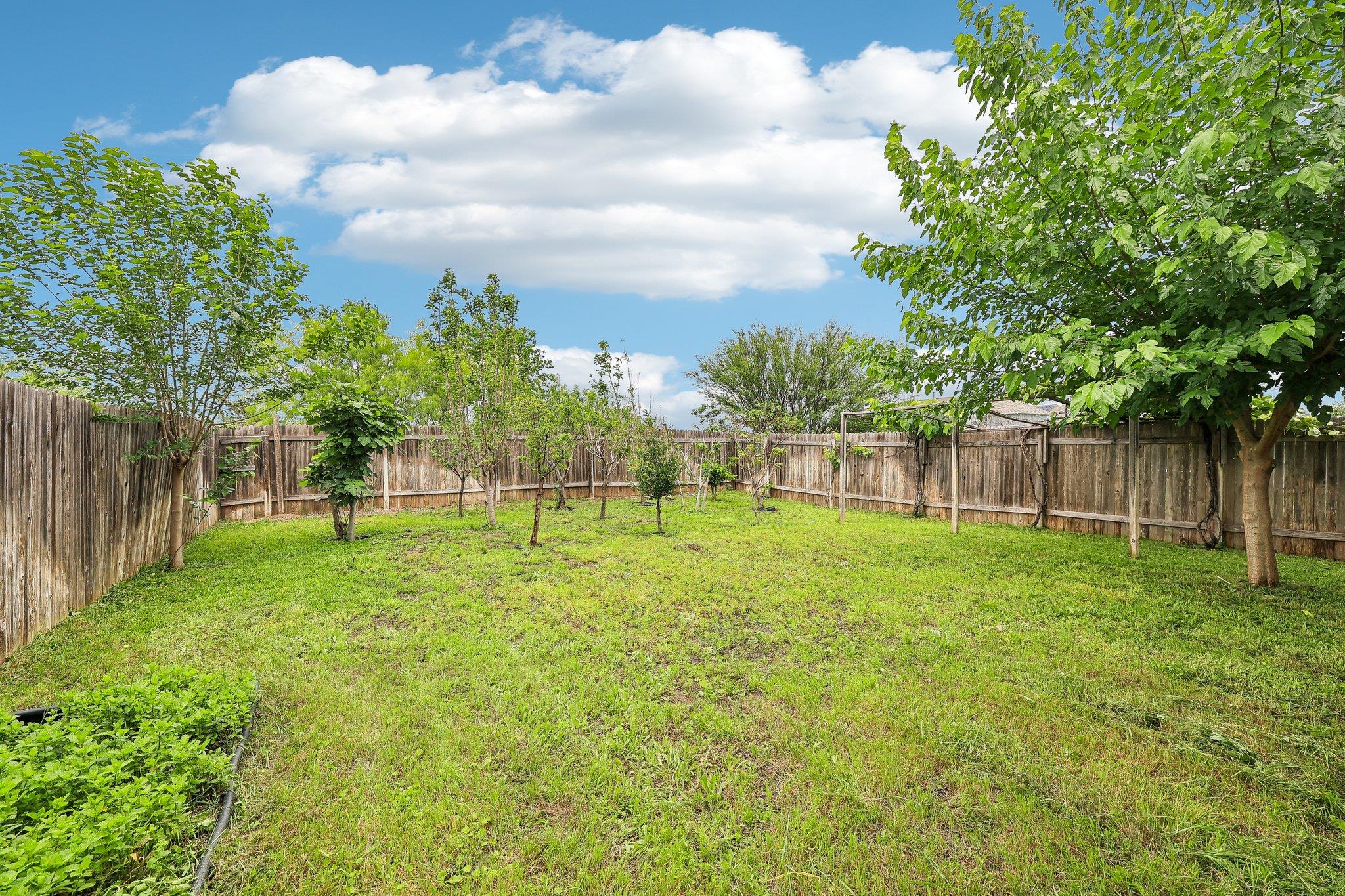387 Guemal Rd, Buda, TX 78610