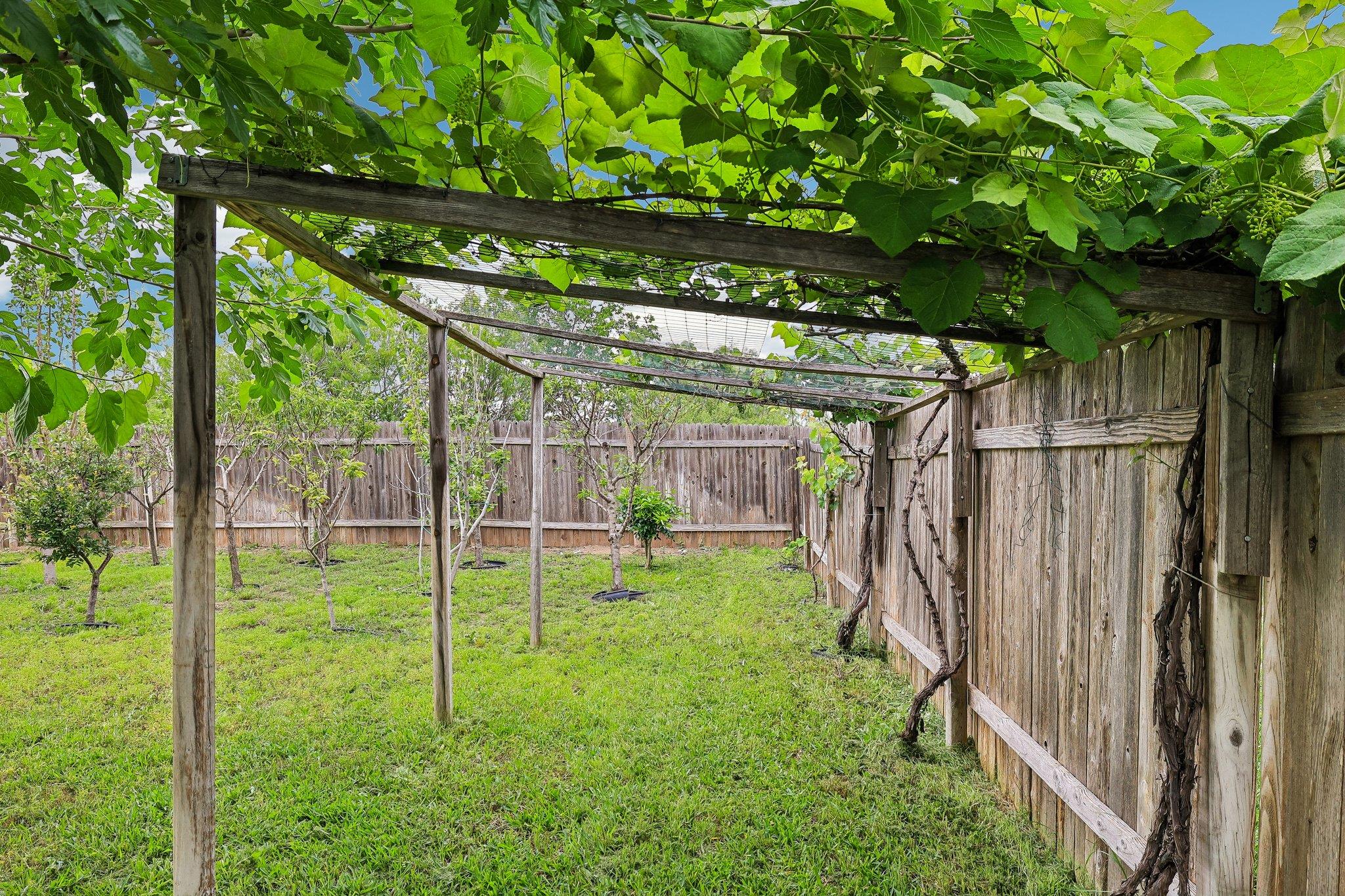 387 Guemal Rd, Buda, TX 78610