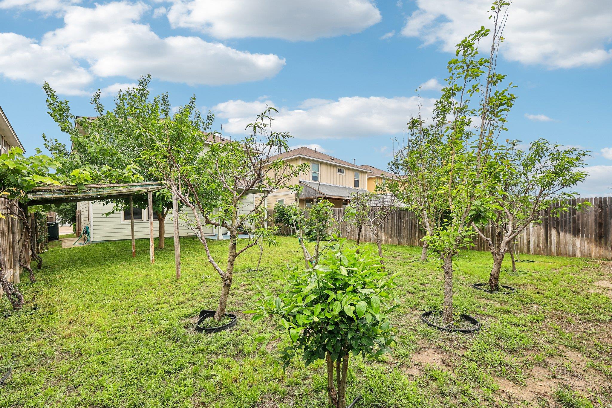 387 Guemal Rd, Buda, TX 78610