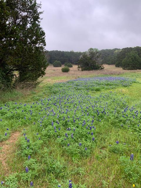 8400 Blazyk Dr, Austin, TX 78737