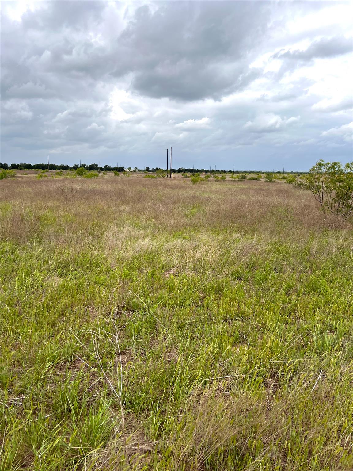 TBD Lot 2 FM 112 Rds, Thrall, TX 76578