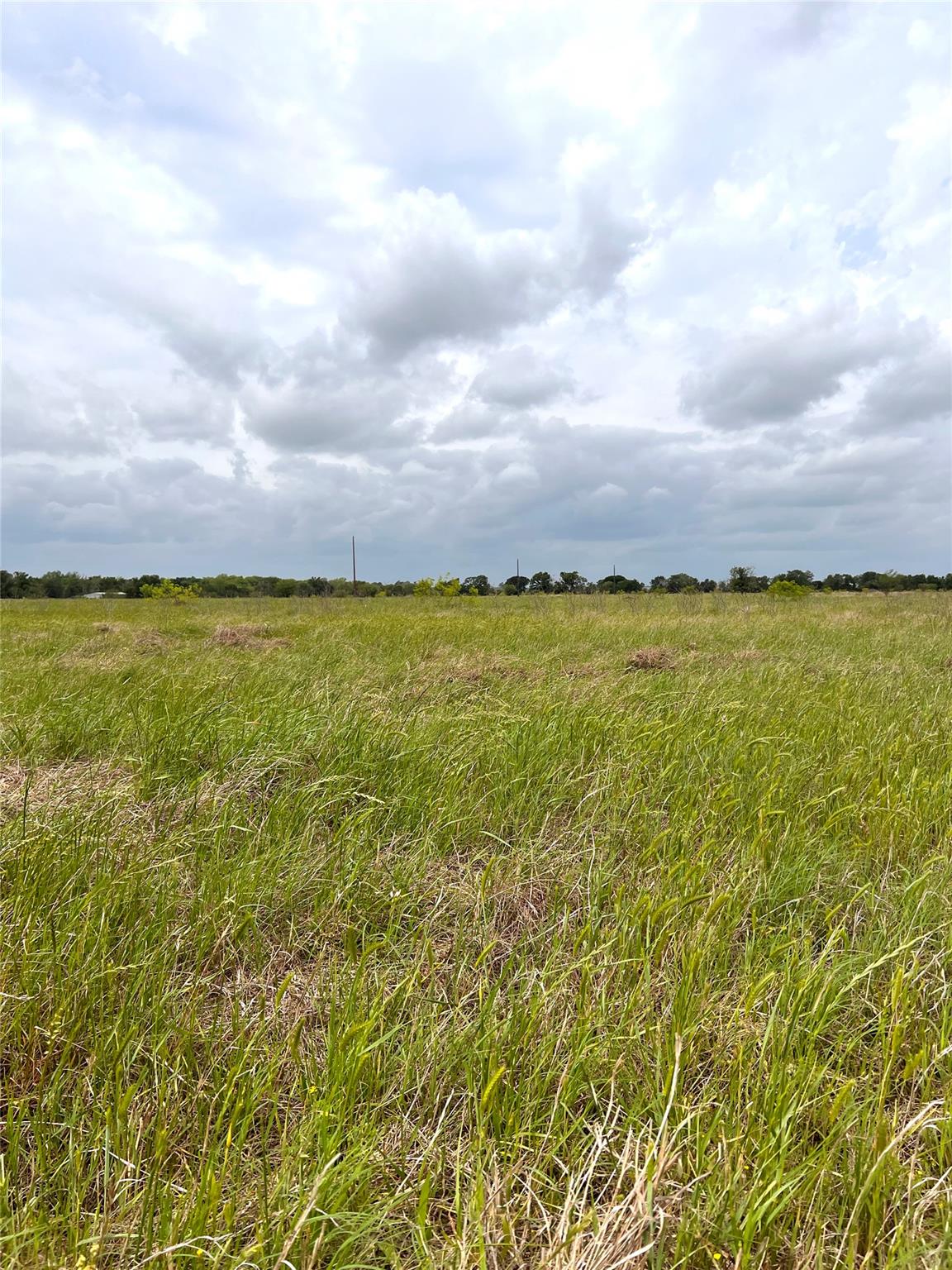 TBD Lot 2 FM 112 Rds, Thrall, TX 76578