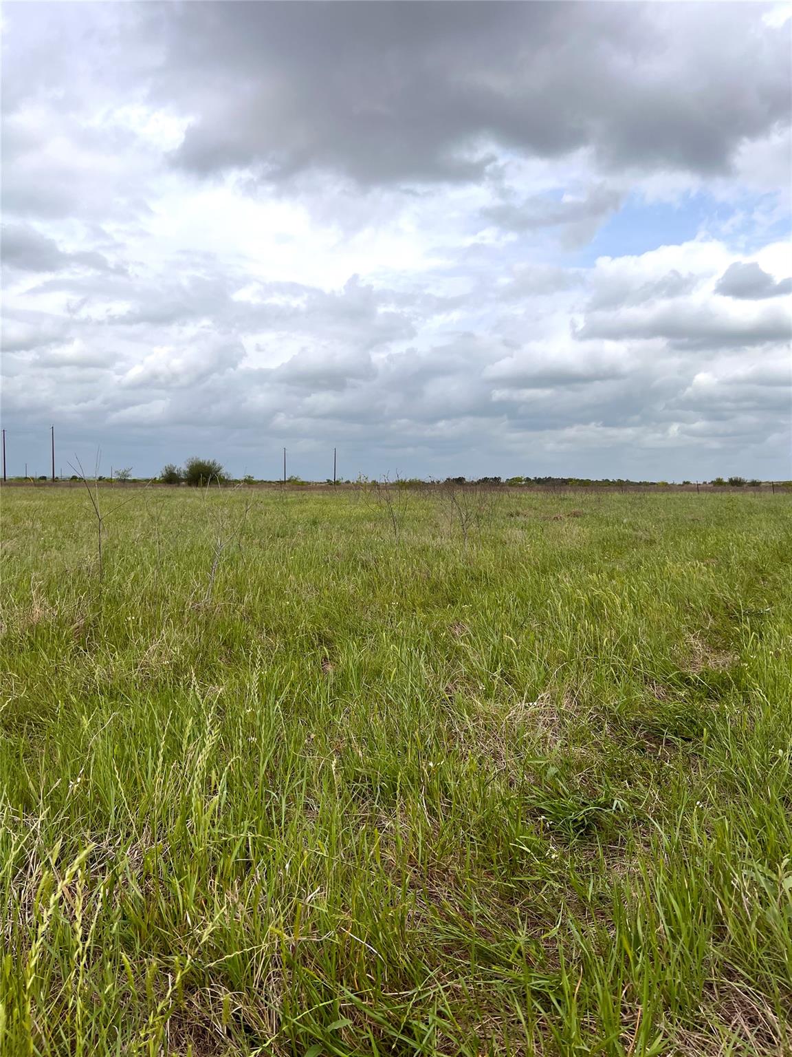 TBD Lot 2 FM 112 Rds, Thrall, TX 76578