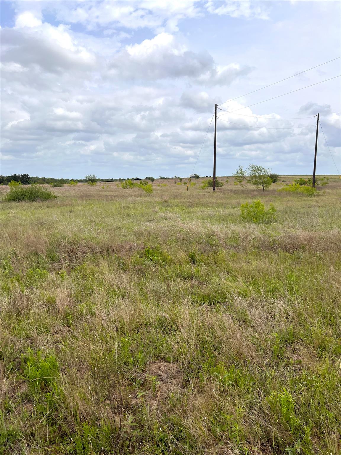 TBD Lot 2 FM 112 Rds, Thrall, TX 76578