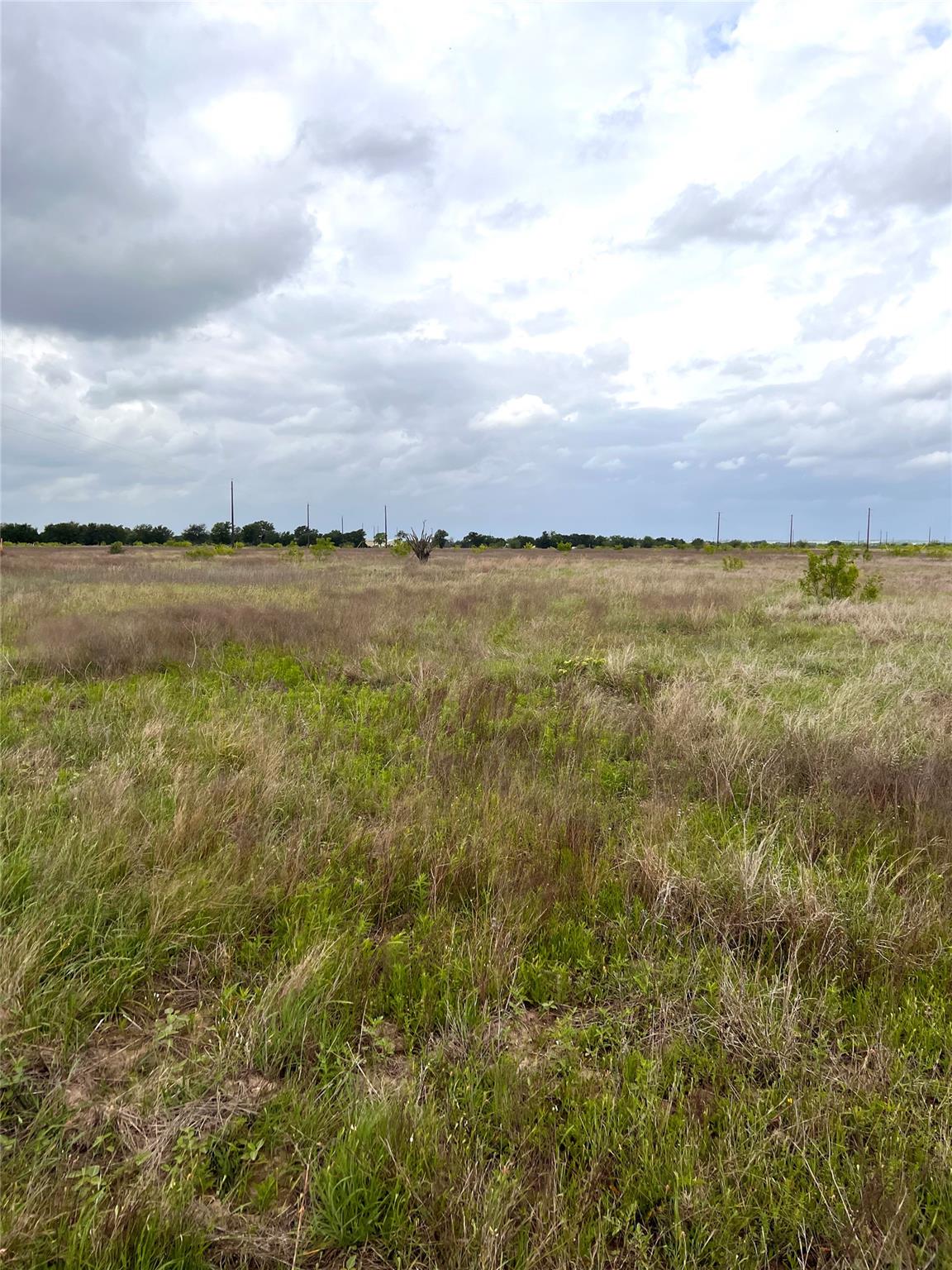 TBD Lot 2 FM 112 Rds, Thrall, TX 76578