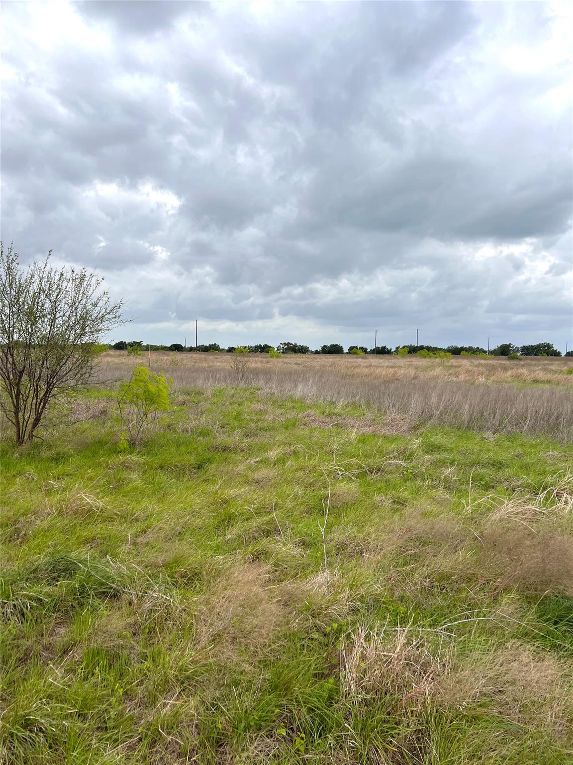 TBD Lot 2 FM 112 Rds, Thrall, TX 76578