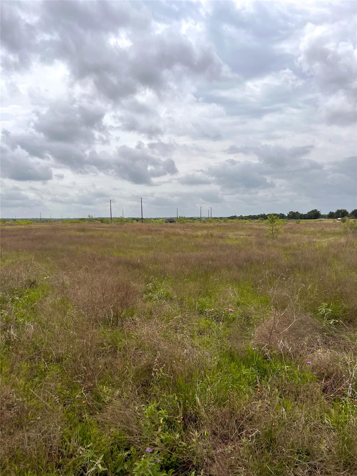 TBD Lot 2 FM 112 Rds, Thrall, TX 76578