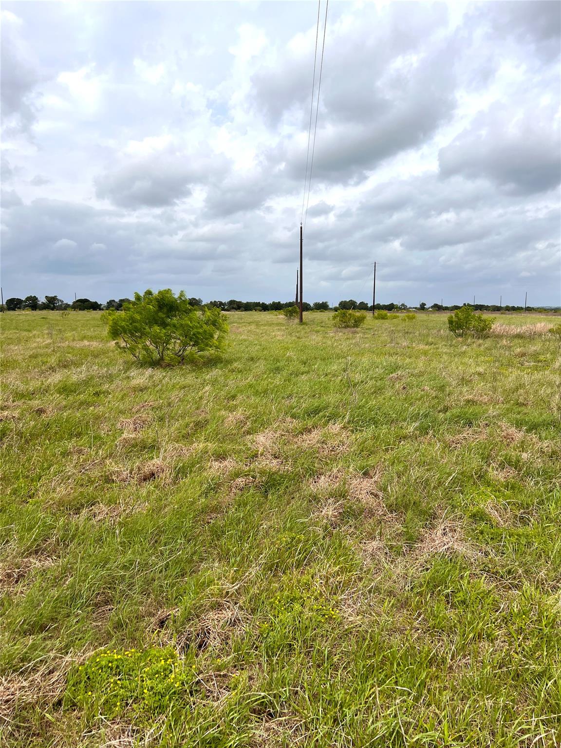 TBD Lot 2 FM 112 Rds, Thrall, TX 76578