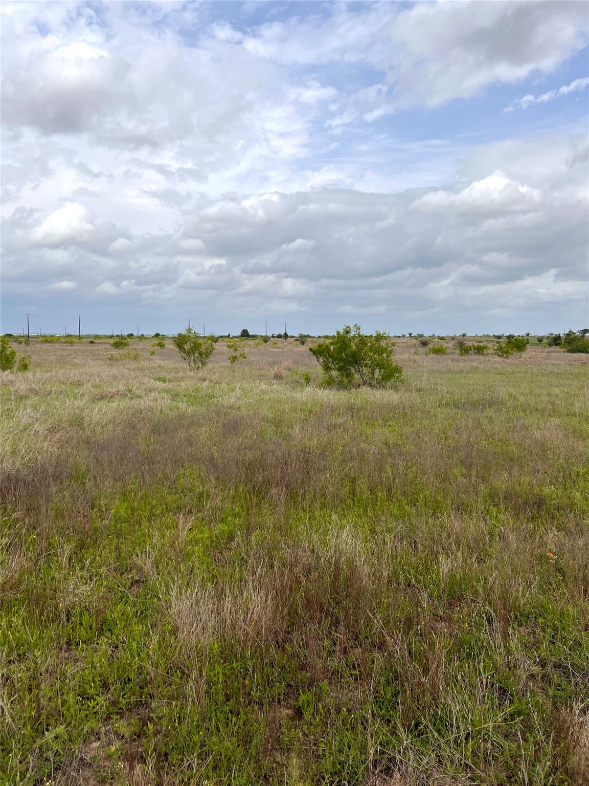 TBD Lot 2 FM 112 Rds, Thrall, TX 76578