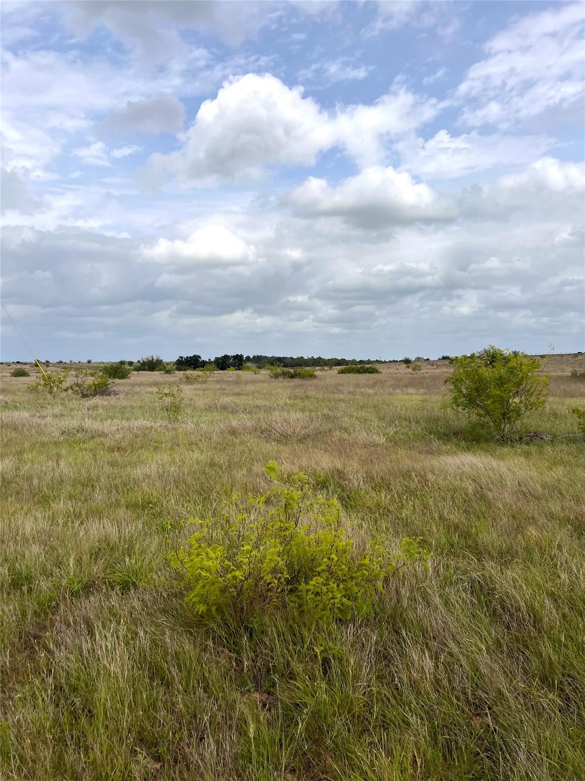 TBD Lot 2 FM 112 Rds, Thrall, TX 76578