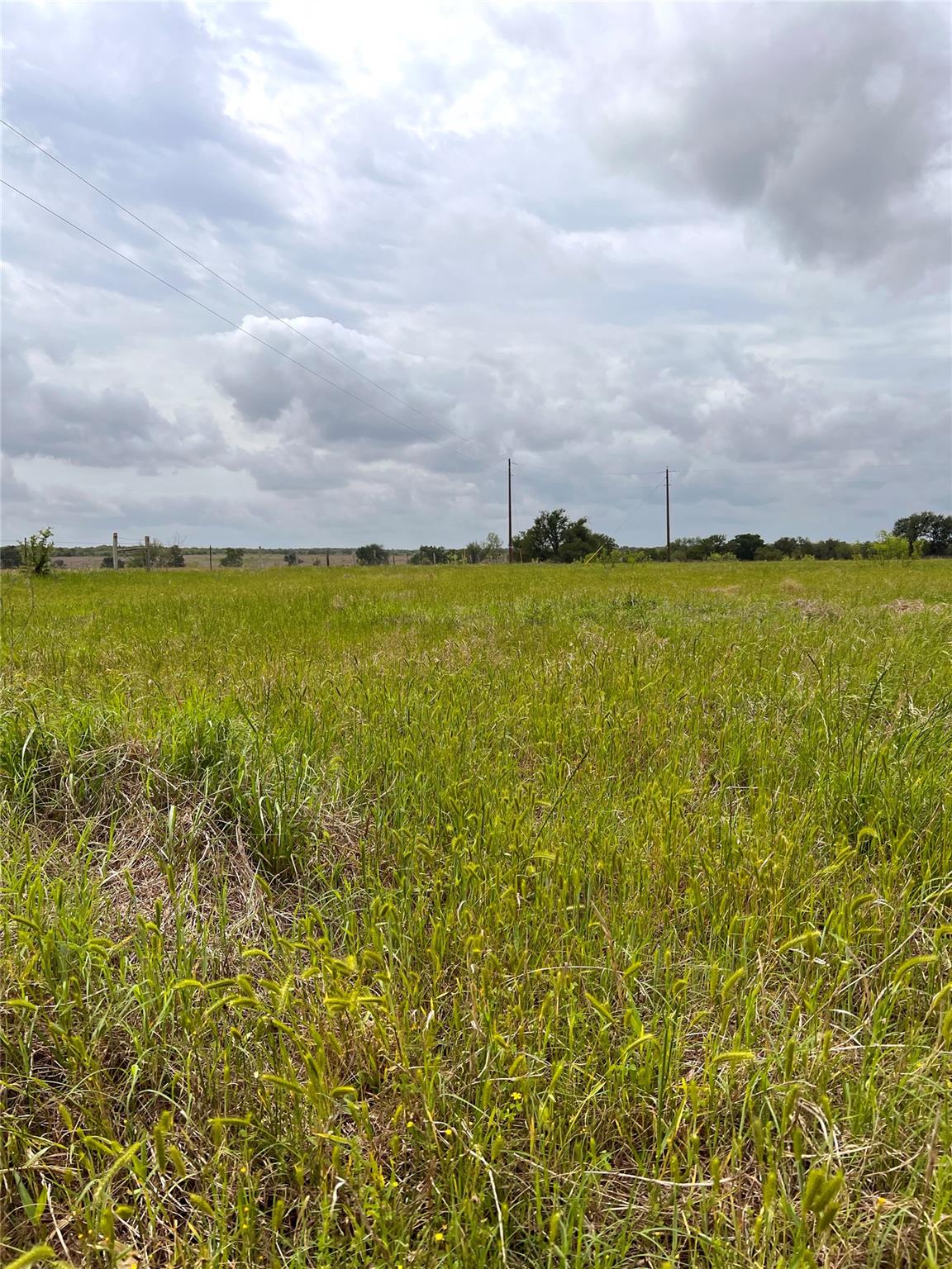 TBD Lot 2 FM 112 Rds, Thrall, TX 76578