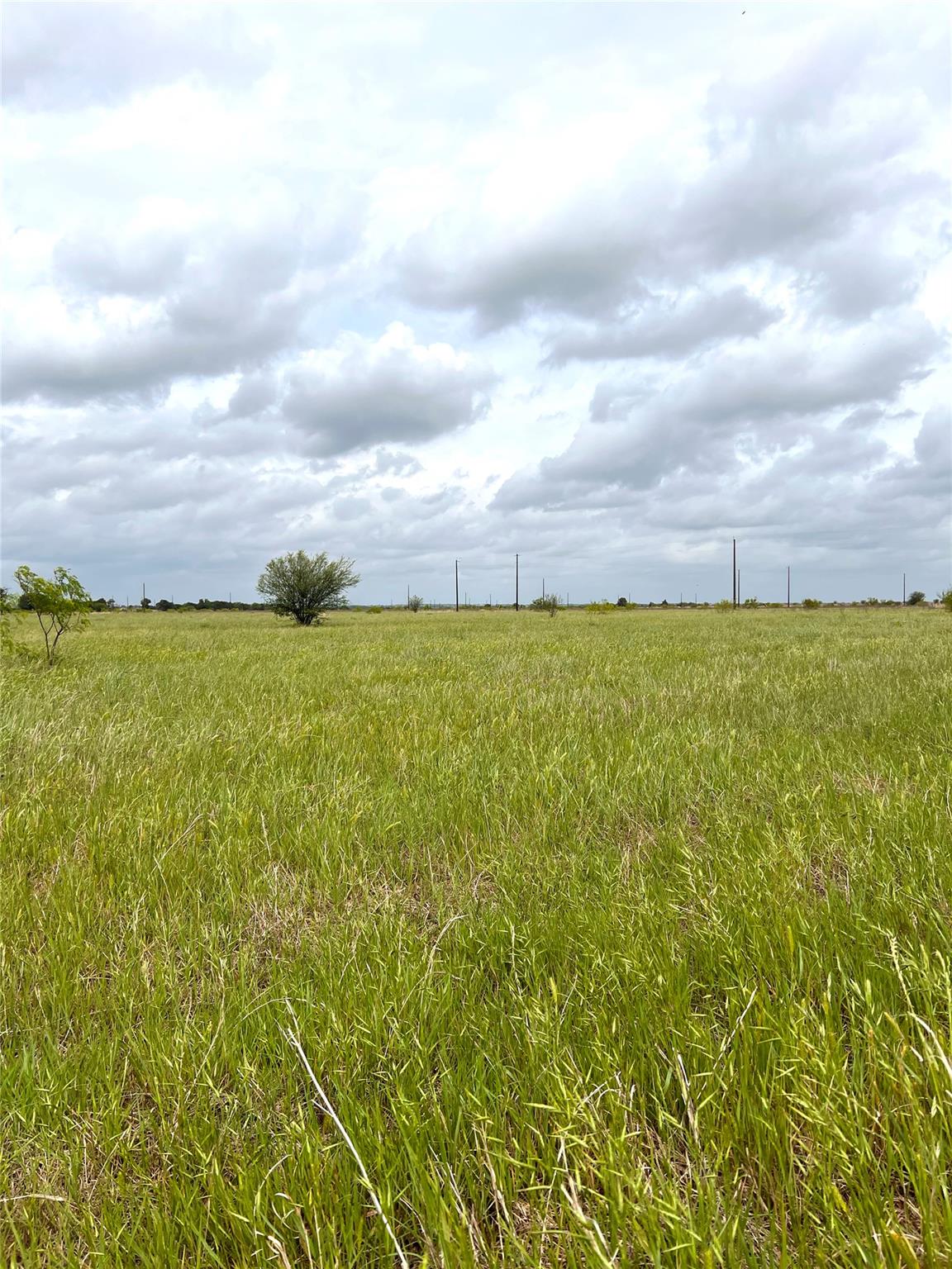 TBD Lot 2 FM 112 Rds, Thrall, TX 76578