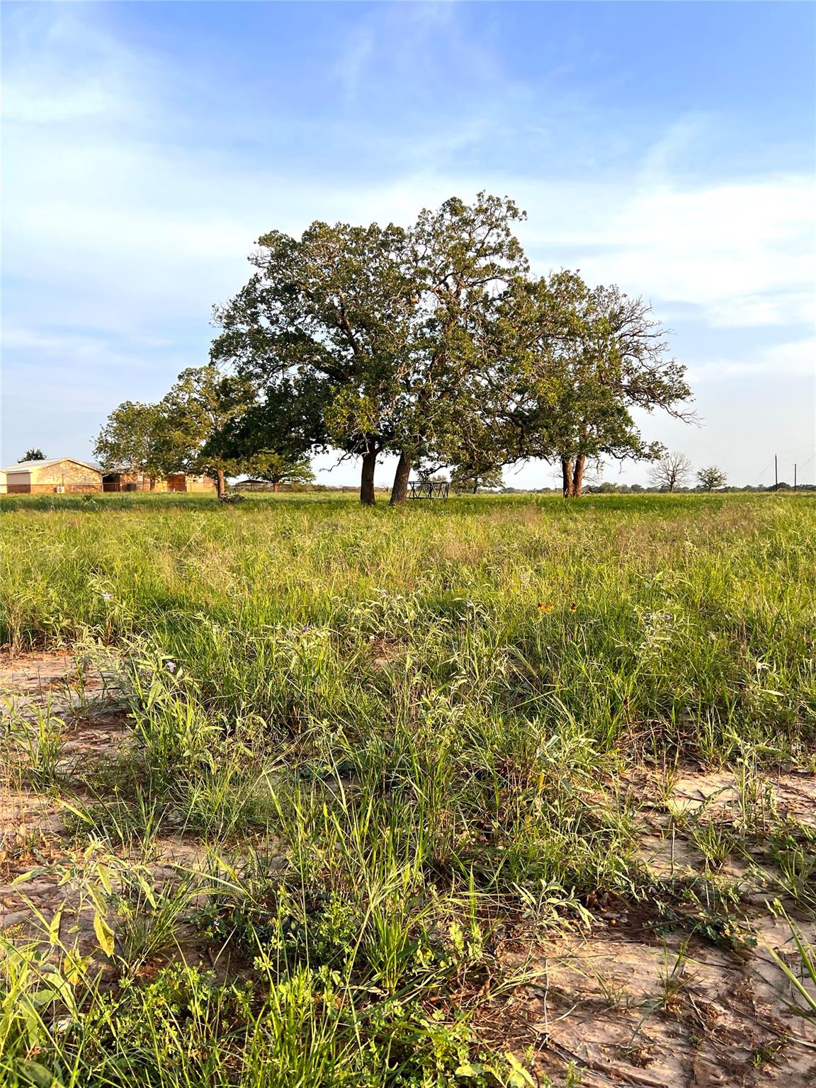 TBD Lot 9 Cardinal Rd, Rosanky, TX 78953