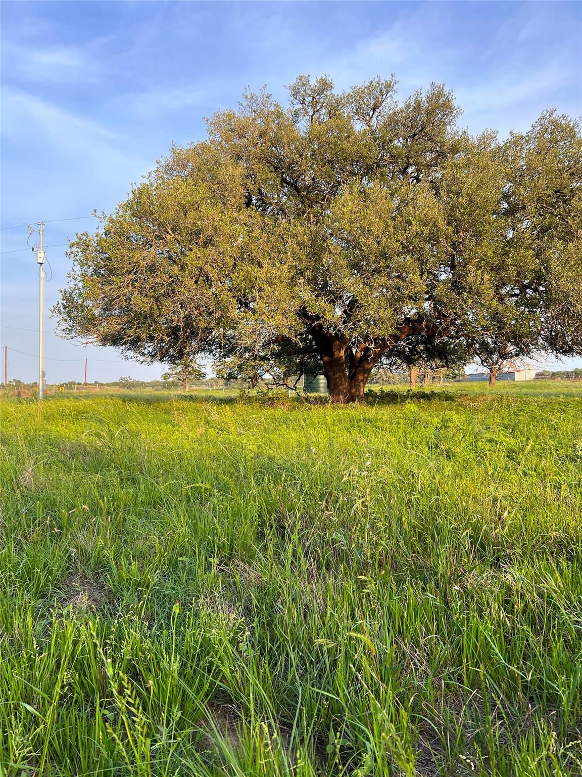 TBD Lot 9 Cardinal Rd, Rosanky, TX 78953