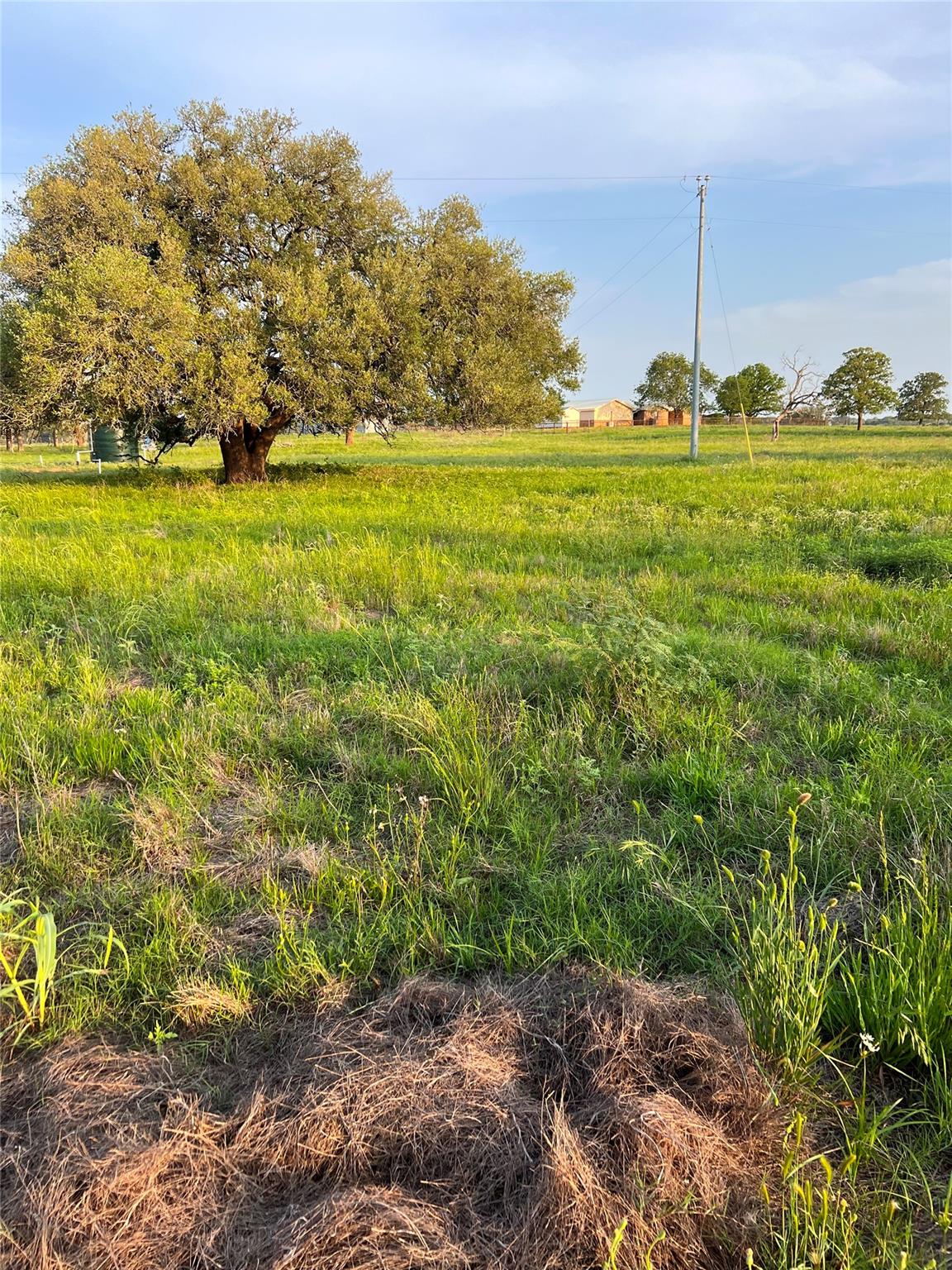 TBD Lot 9 Cardinal Rd, Rosanky, TX 78953