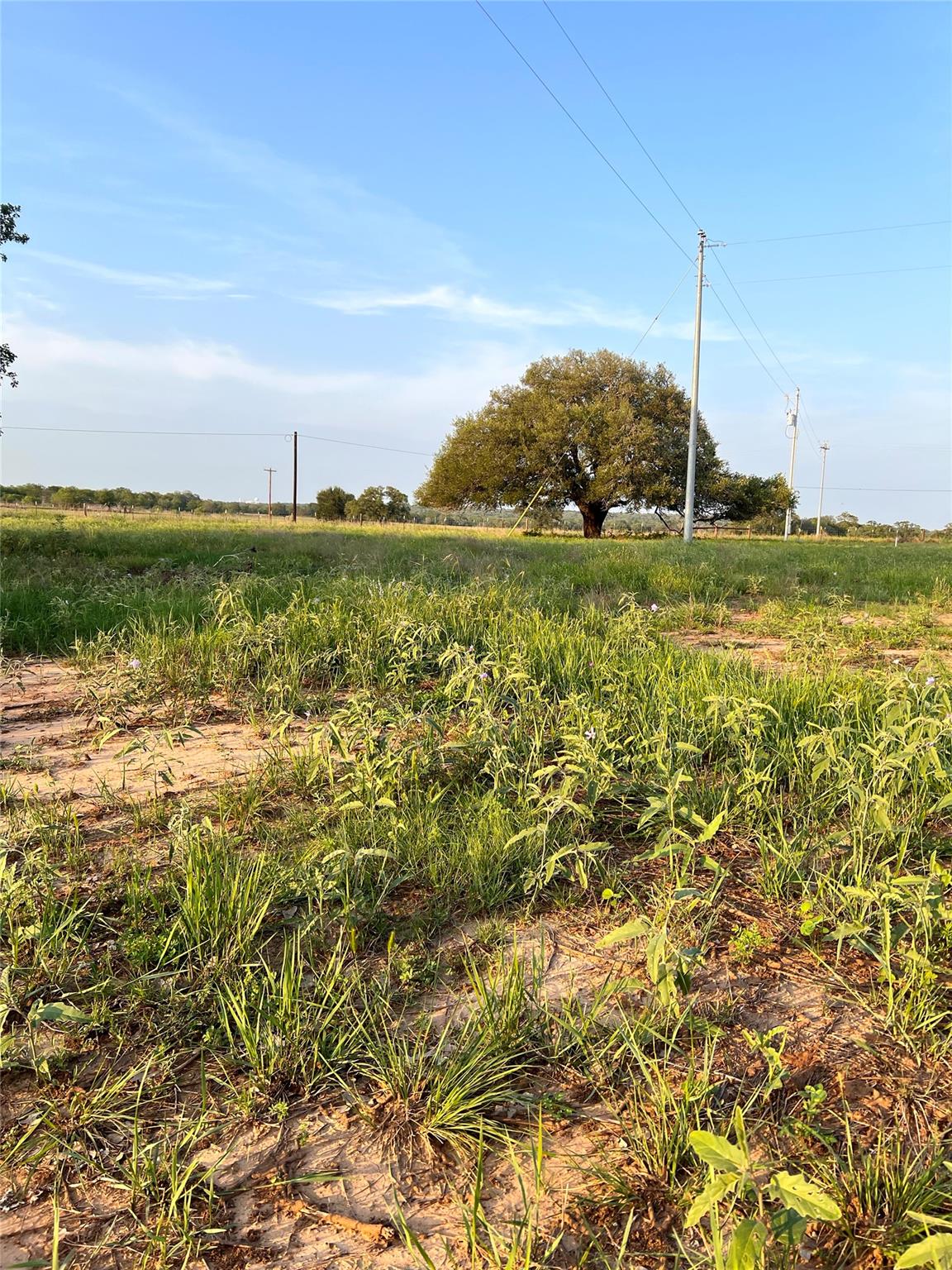 TBD Lot 9 Cardinal Rd, Rosanky, TX 78953