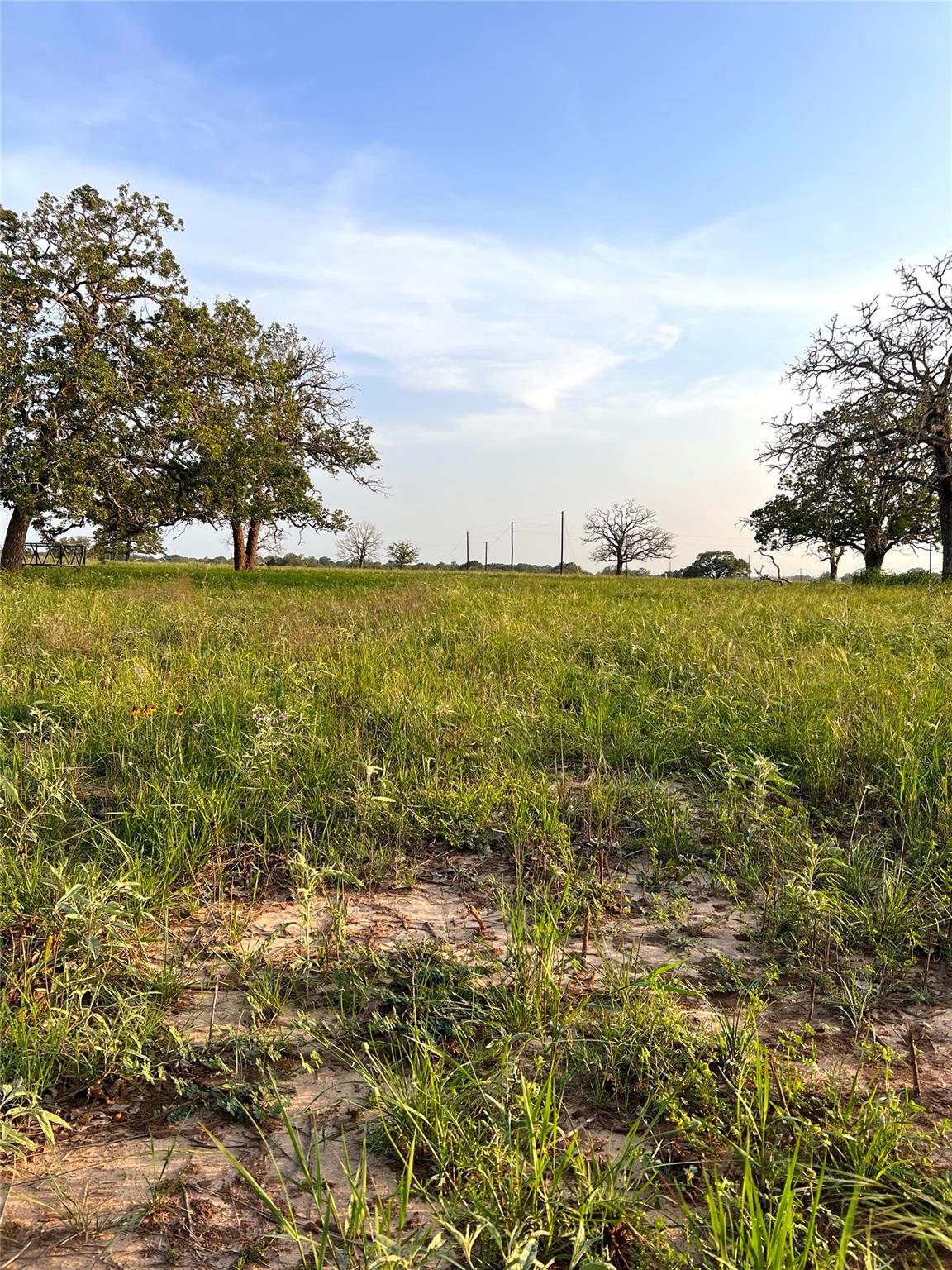 TBD Lot 9 Cardinal Rd, Rosanky, TX 78953