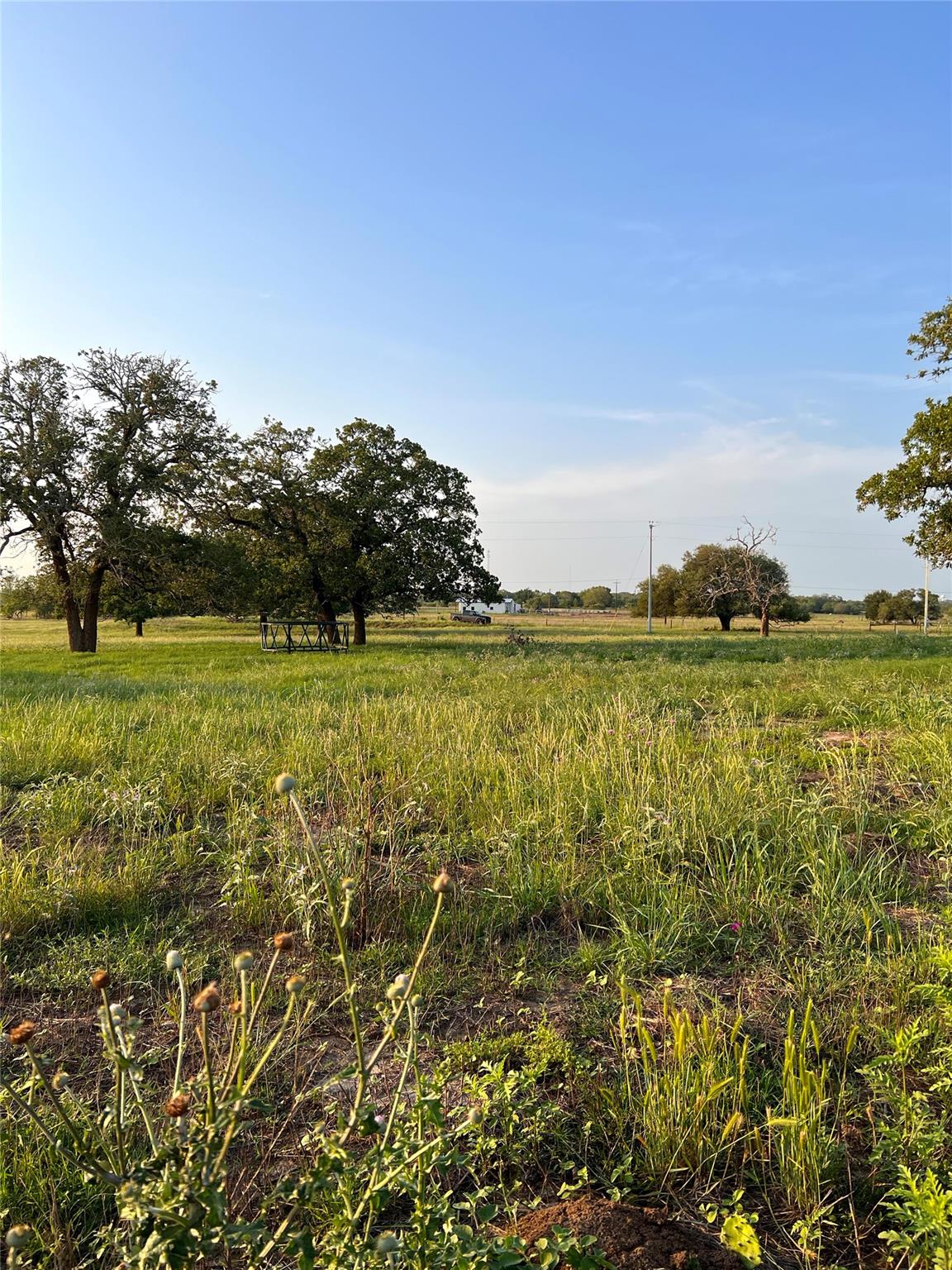 TBD Lot 9 Cardinal Rd, Rosanky, TX 78953