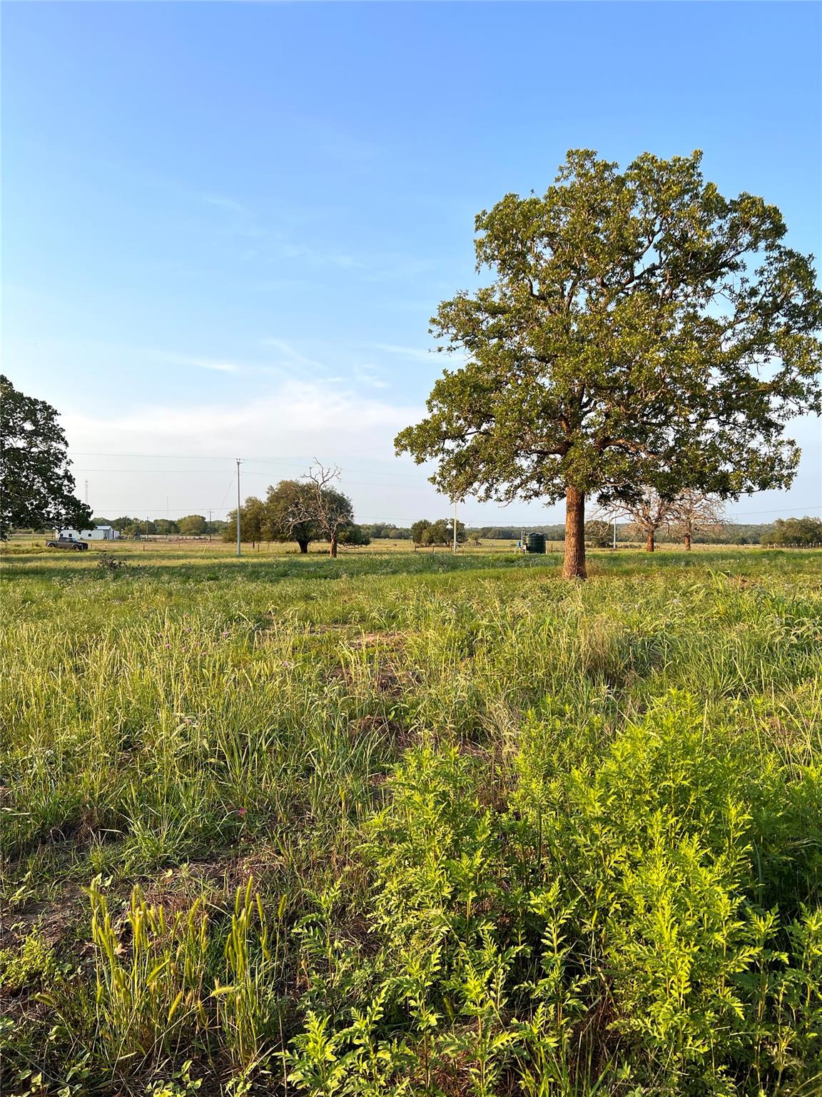 TBD Lot 9 Cardinal Rd, Rosanky, TX 78953
