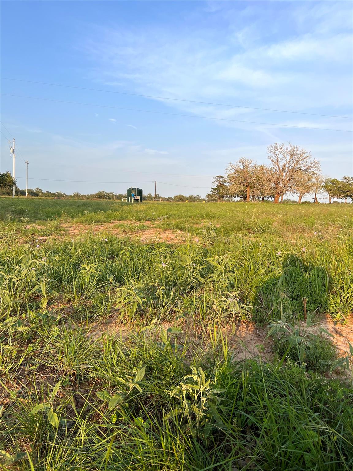 TBD Lot 9 Cardinal Rd, Rosanky, TX 78953