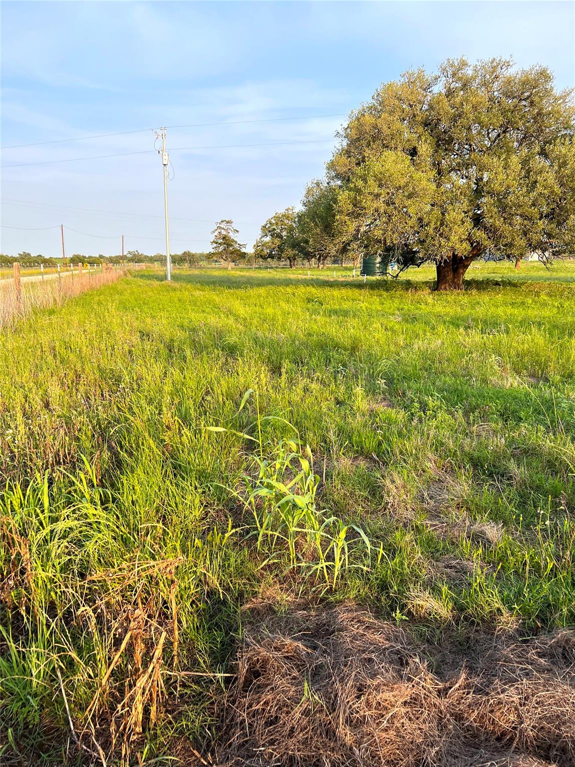 TBD Lot 9 Cardinal Rd, Rosanky, TX 78953