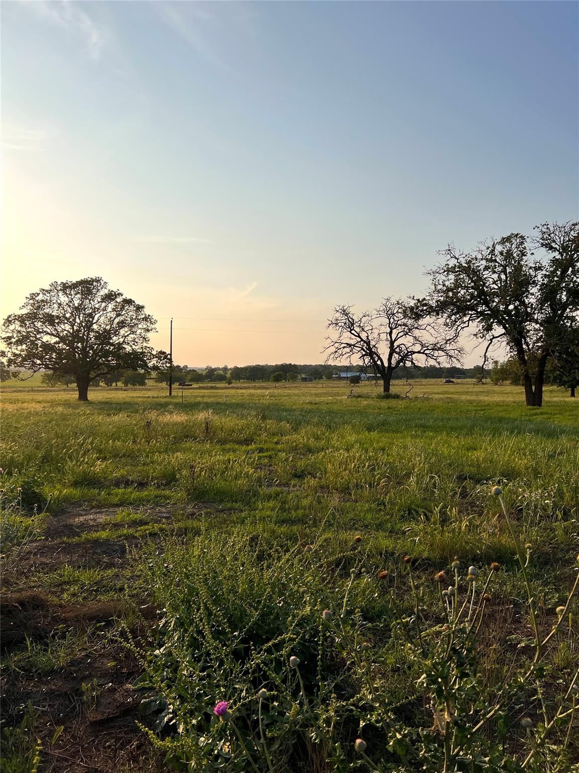 TBD Lot 9 Cardinal Rd, Rosanky, TX 78953