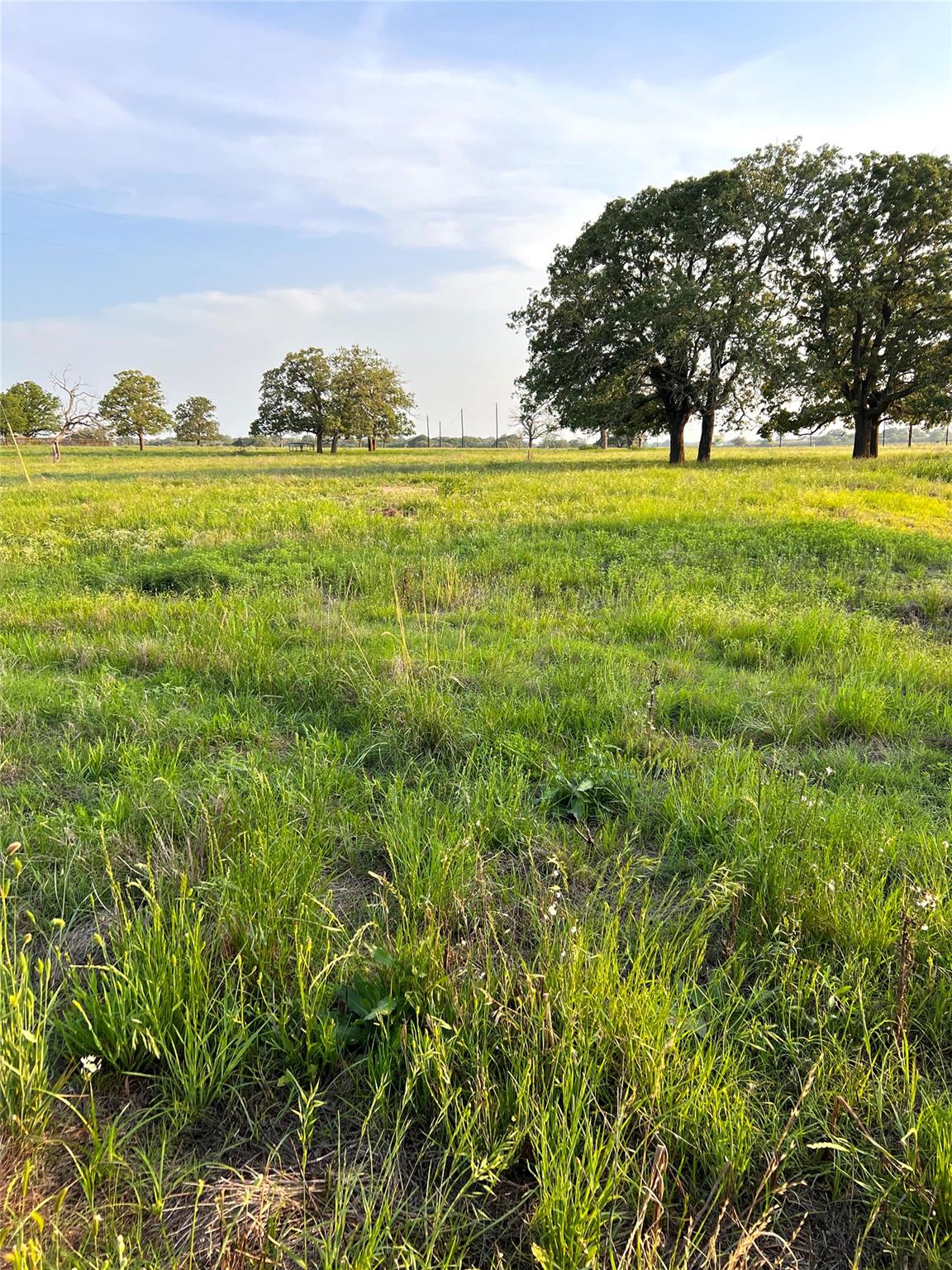 TBD Lot 9 Cardinal Rd, Rosanky, TX 78953