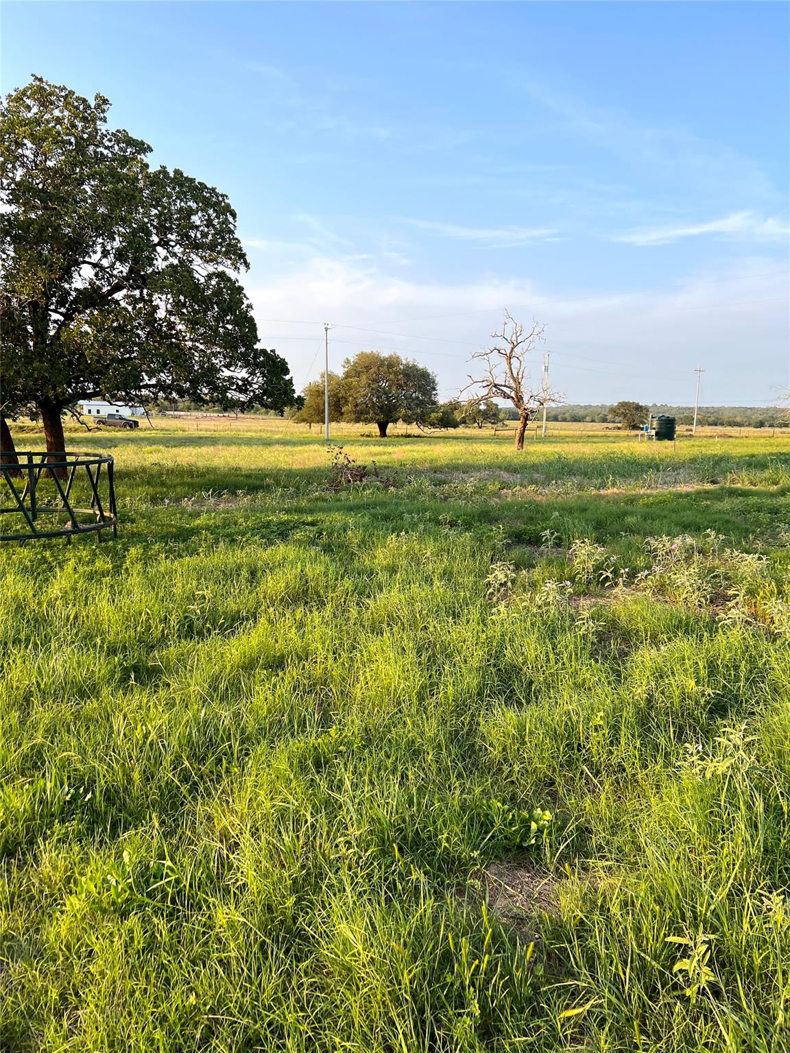 TBD Lot 9 Cardinal Rd, Rosanky, TX 78953