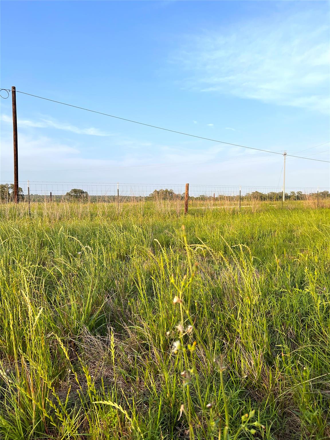 TBD Lot 9 Cardinal Rd, Rosanky, TX 78953