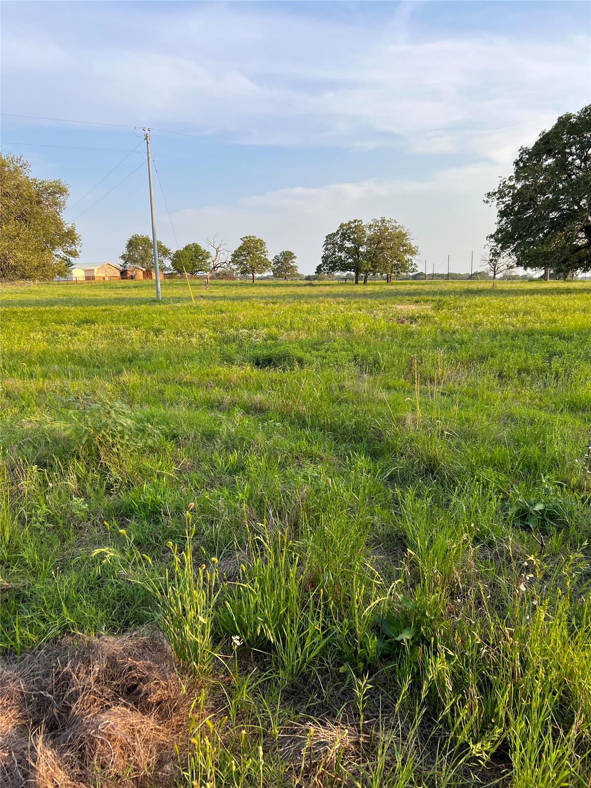 TBD Lot 9 Cardinal Rd, Rosanky, TX 78953