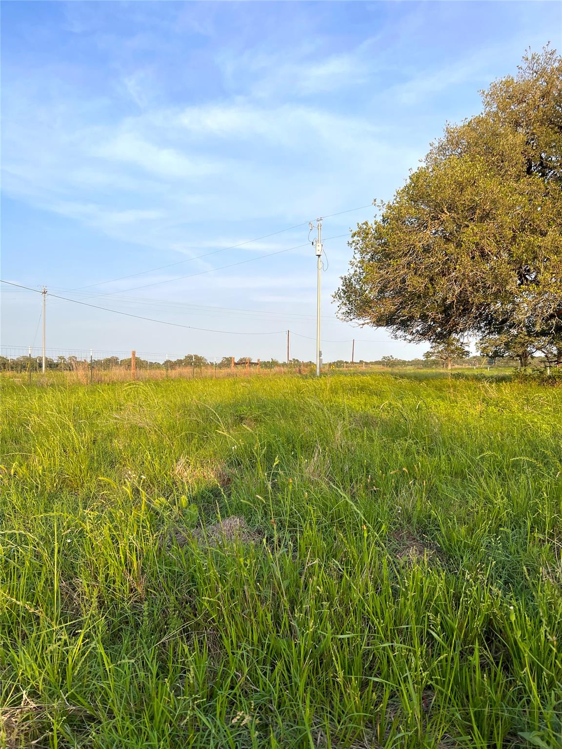 TBD Lot 9 Cardinal Rd, Rosanky, TX 78953