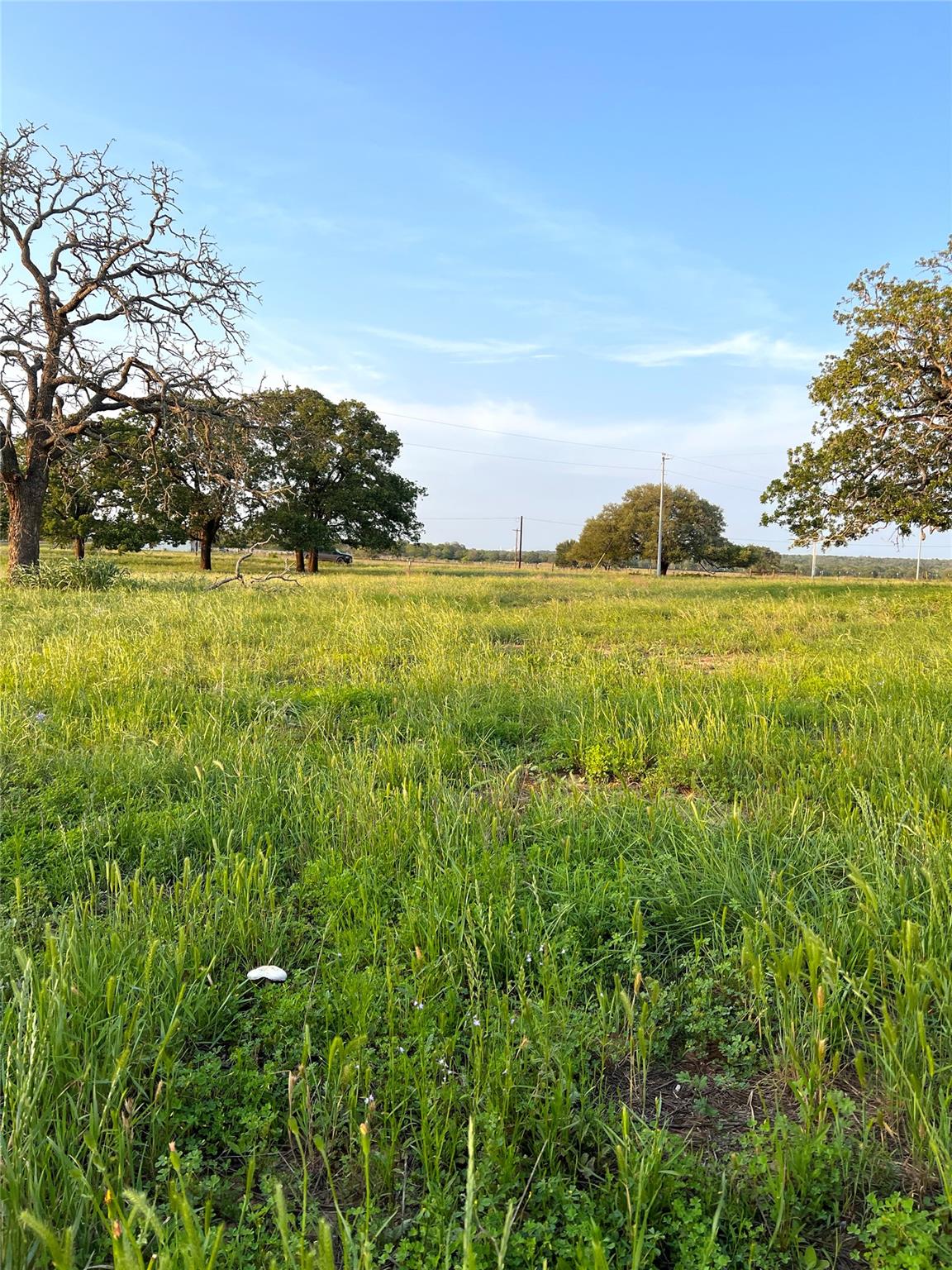 TBD Lot 9 Cardinal Rd, Rosanky, TX 78953