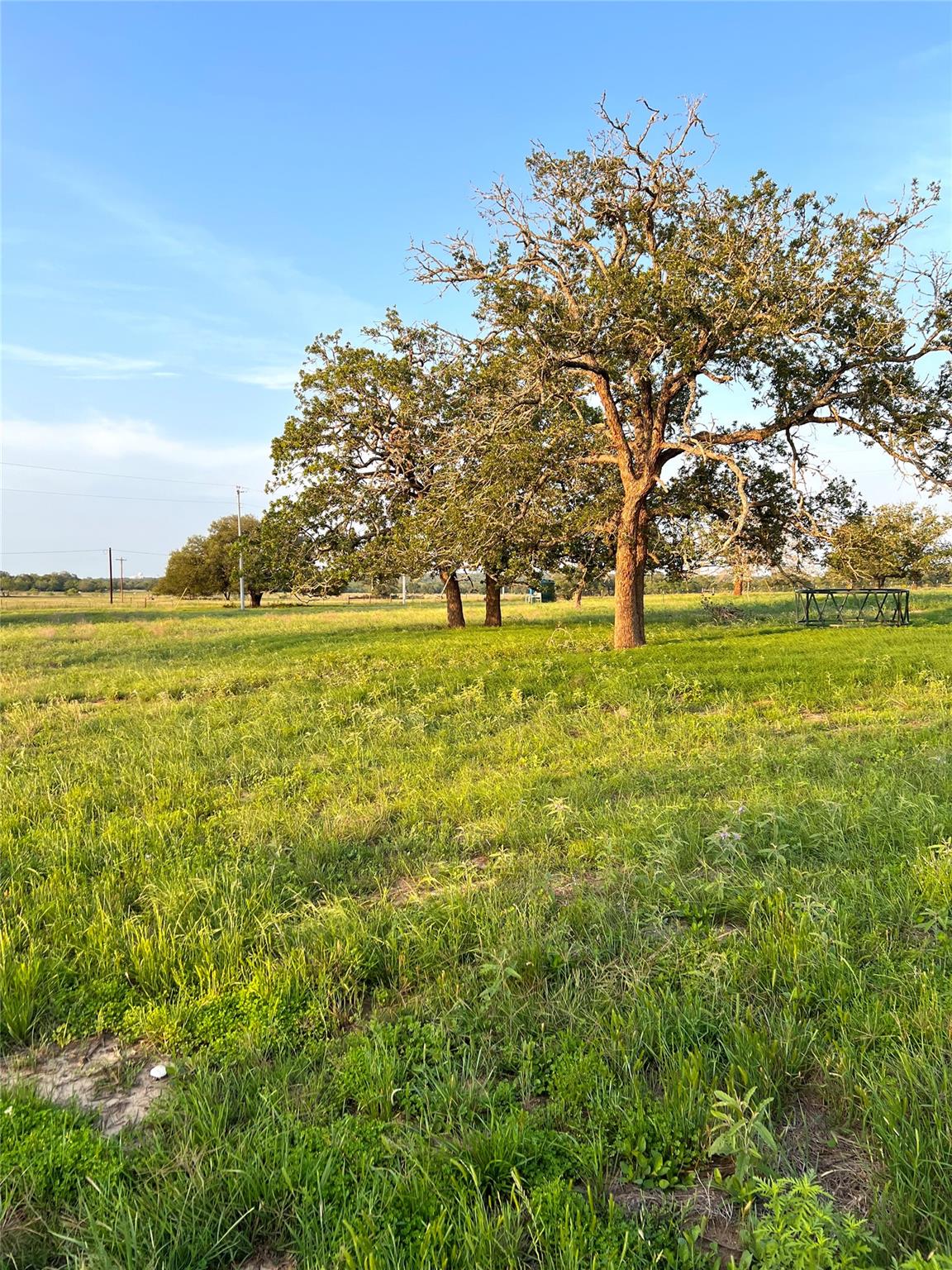 TBD Lot 9 Cardinal Rd, Rosanky, TX 78953