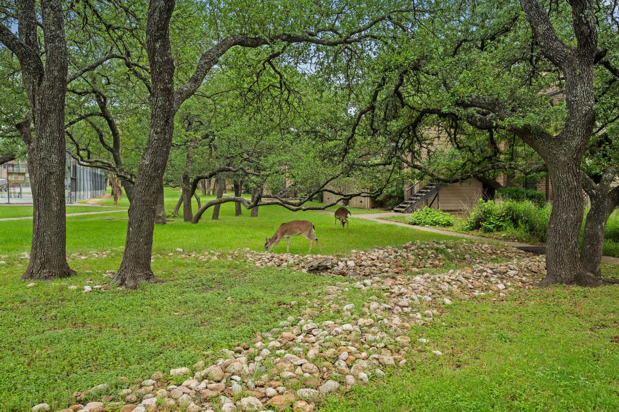 4159 Steck Ave # 267, Austin, TX 78759
