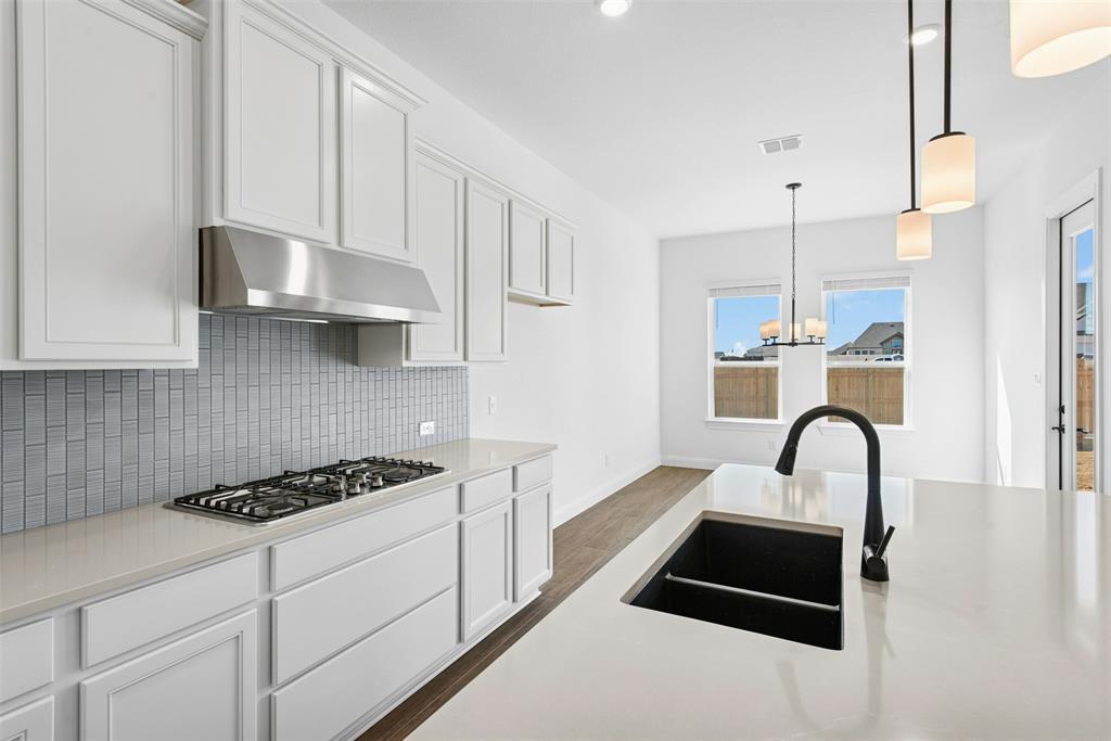 17305 Silverman Dr, Pflugerville, TX 78660