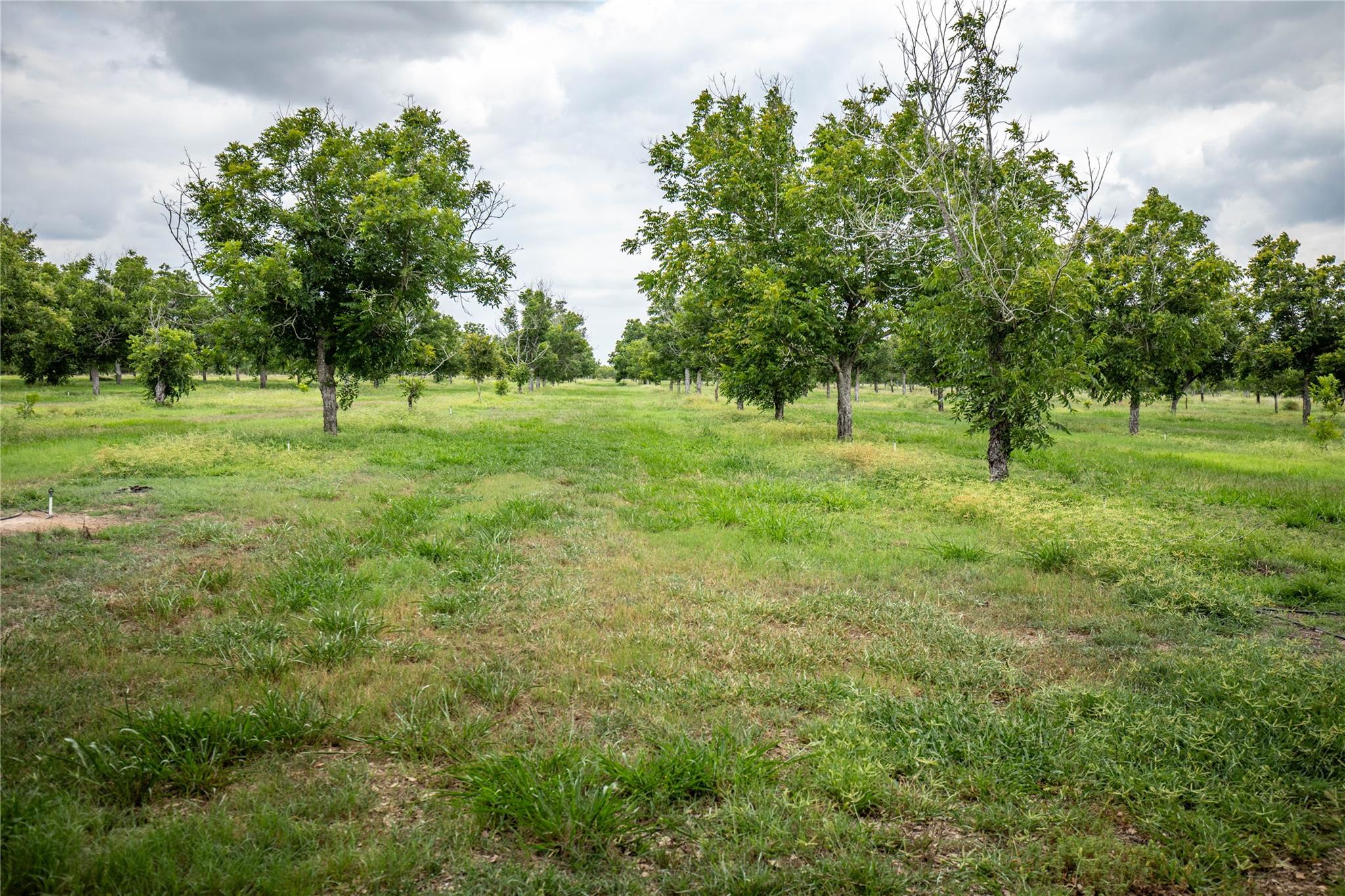 475 W County Road 418, Premont, TX 78375