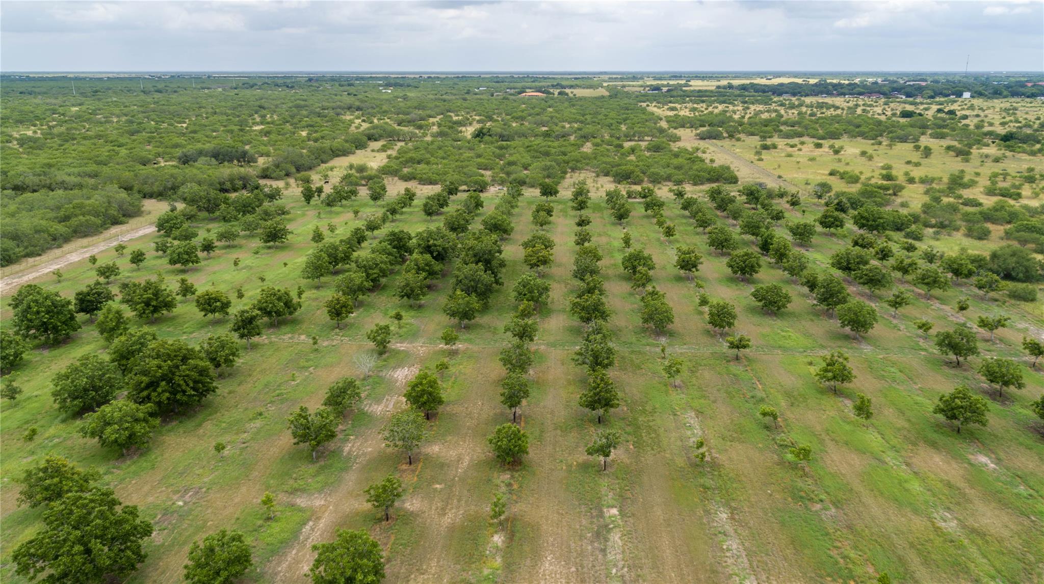 475 W County Road 418, Premont, TX 78375