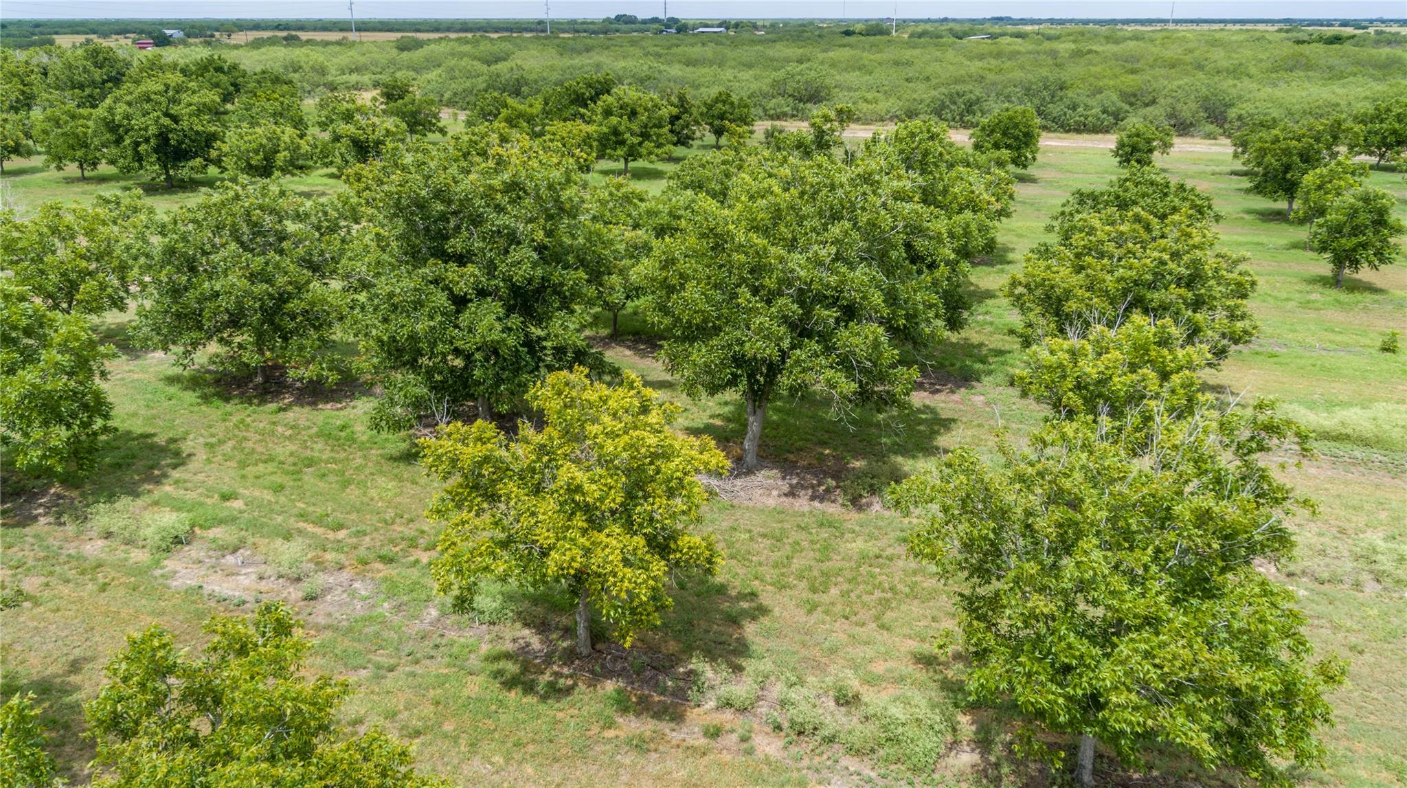 475 W County Road 418, Premont, TX 78375