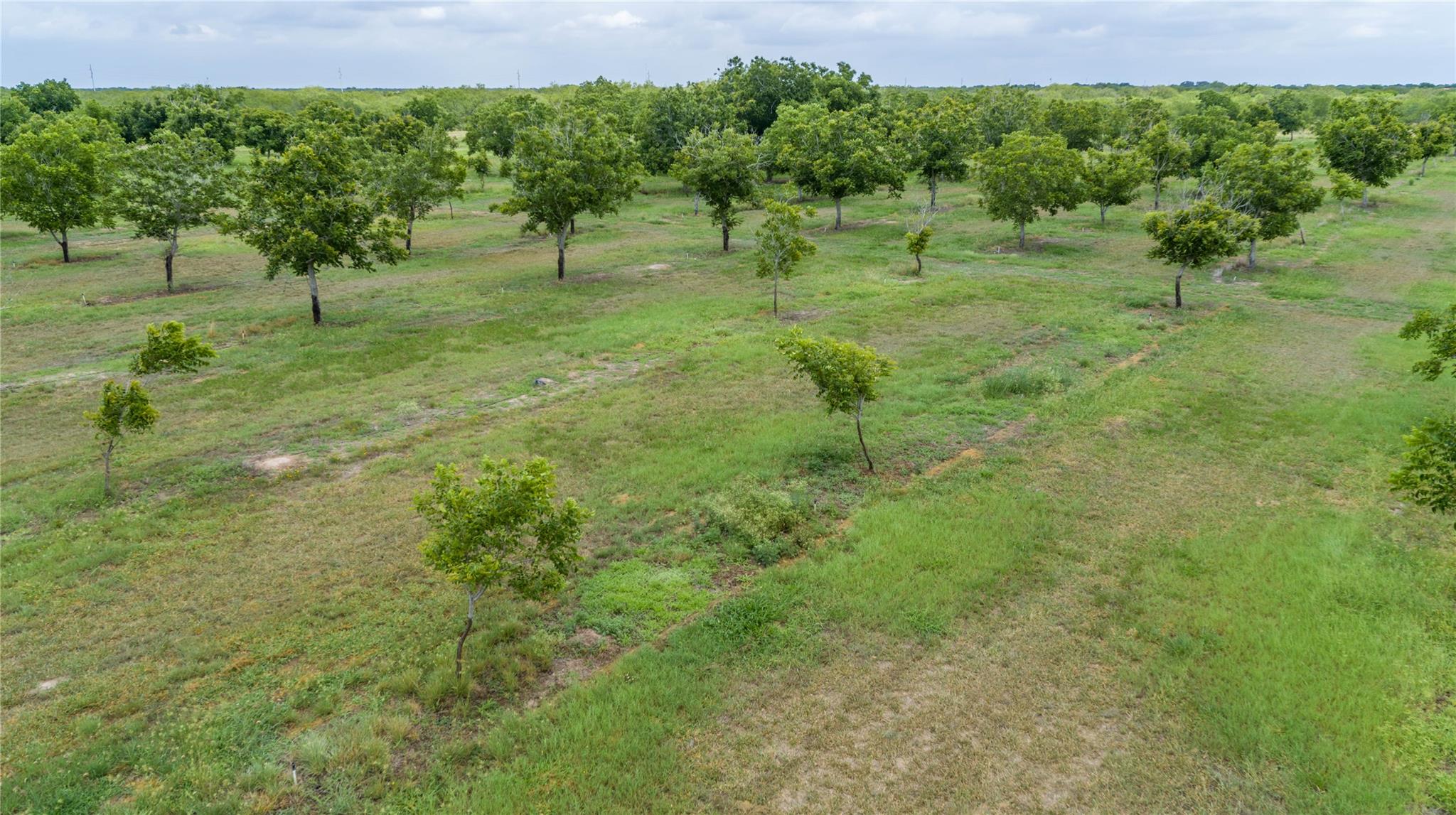 475 W County Road 418, Premont, TX 78375