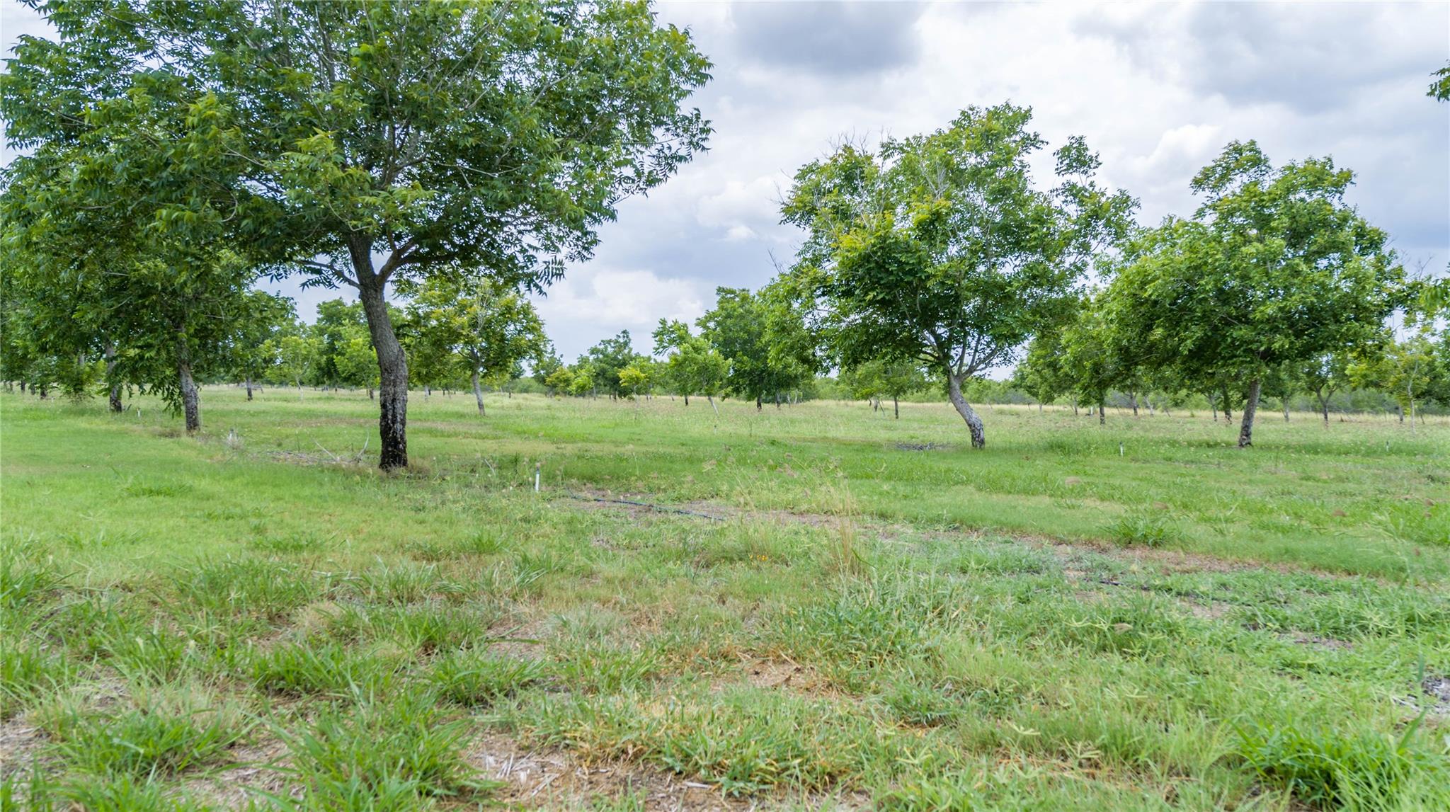 475 W County Road 418, Premont, TX 78375