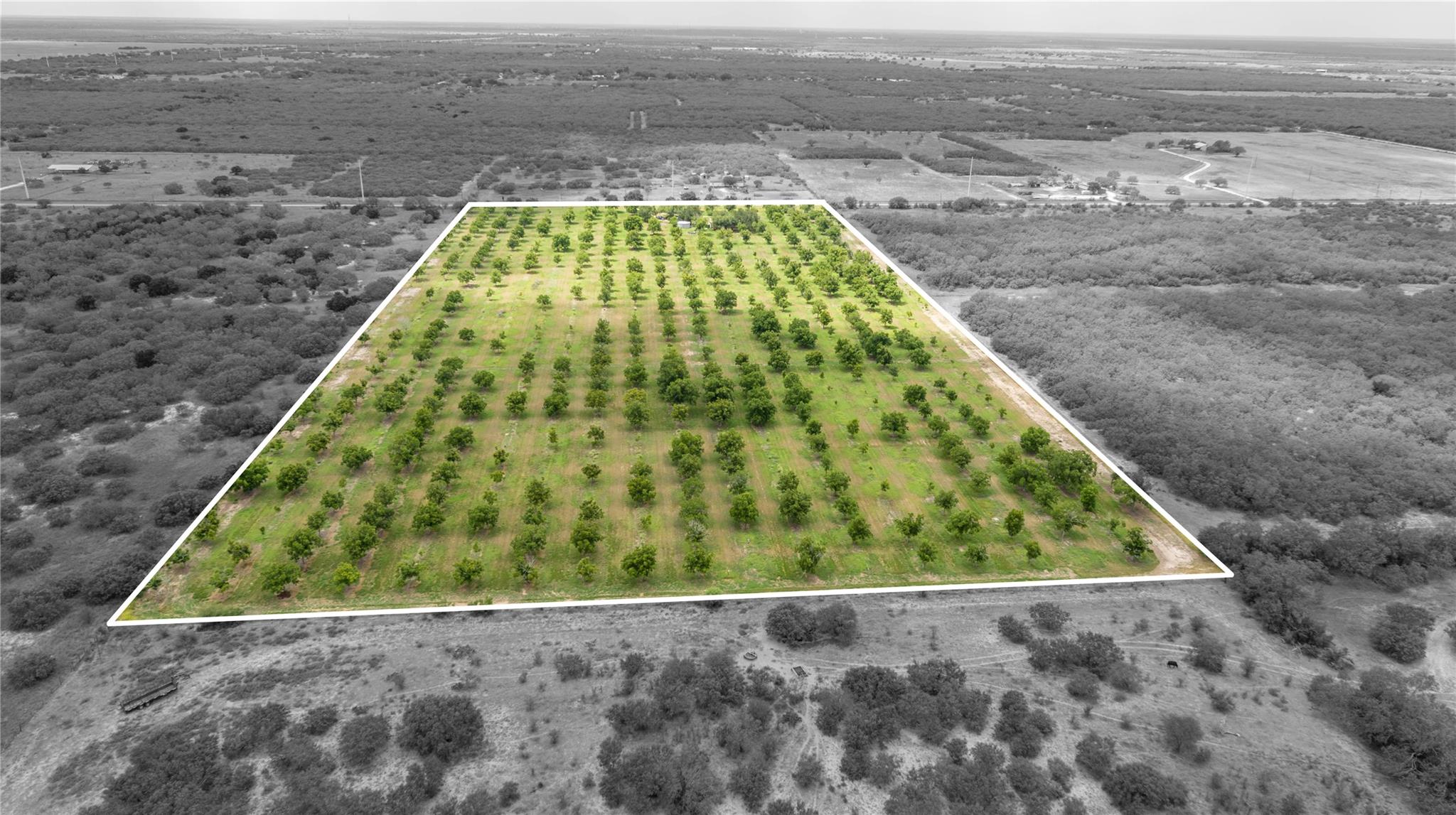 475 W County Road 418, Premont, TX 78375