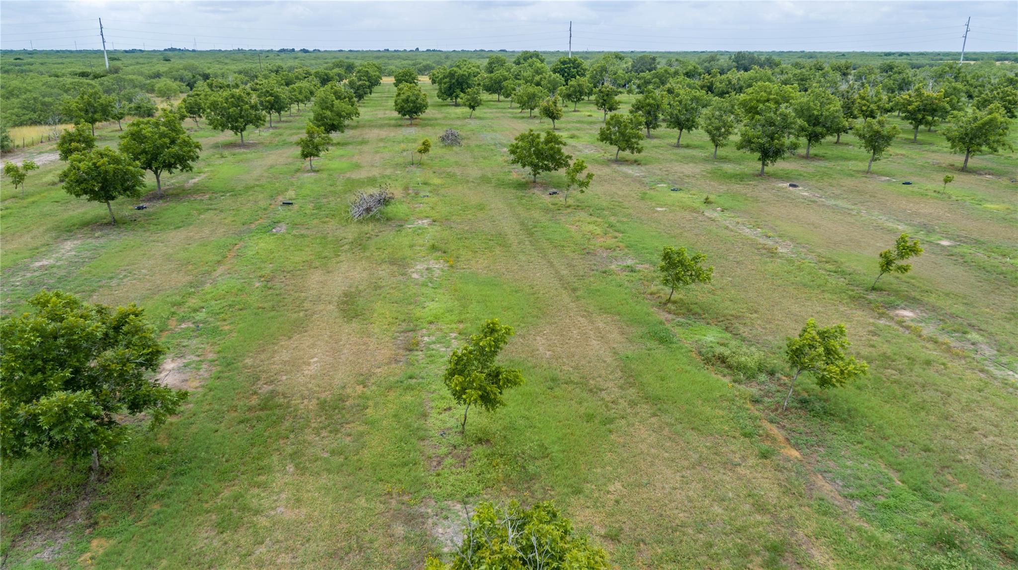 475 W County Road 418, Premont, TX 78375