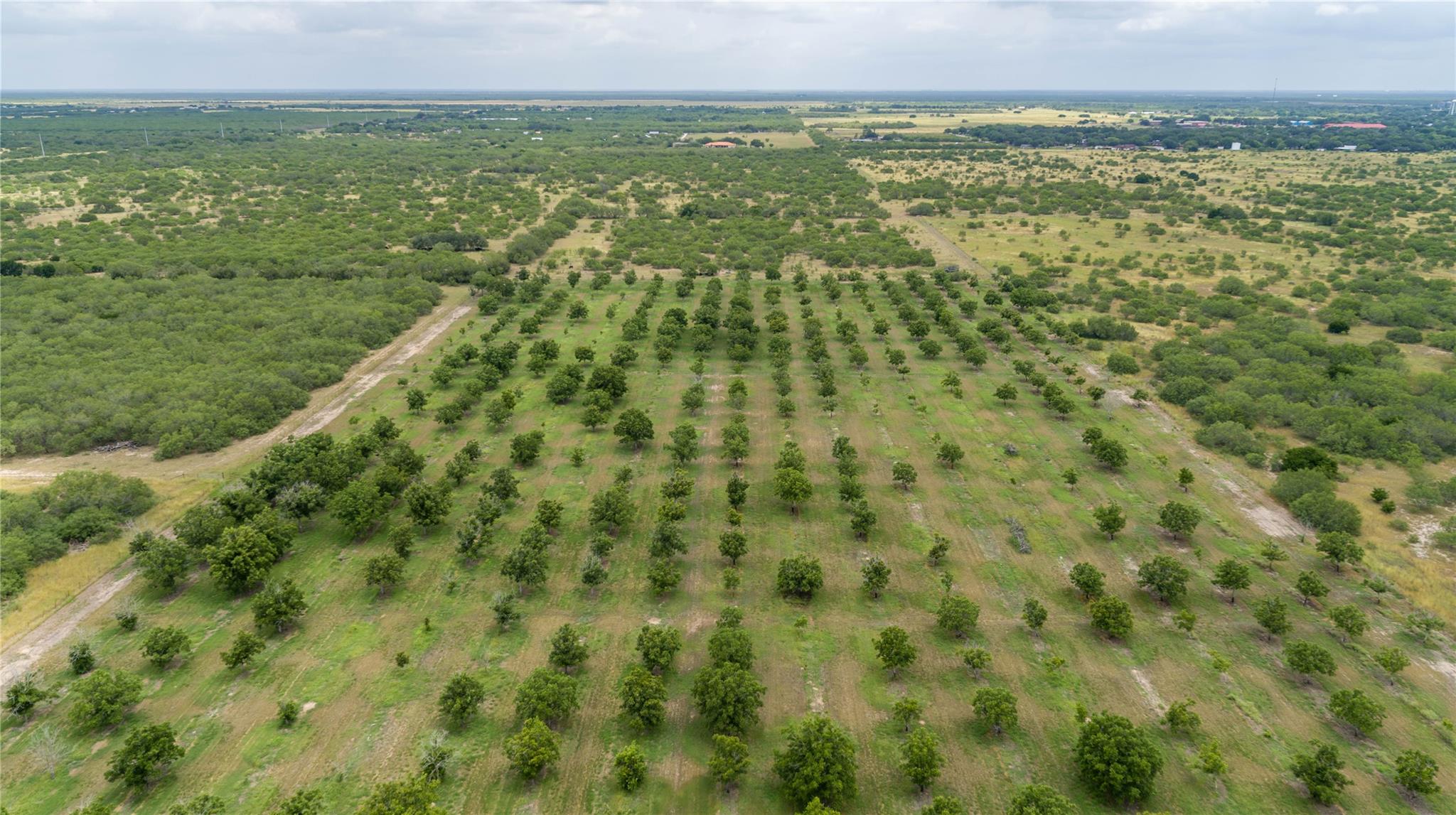 475 W County Road 418, Premont, TX 78375