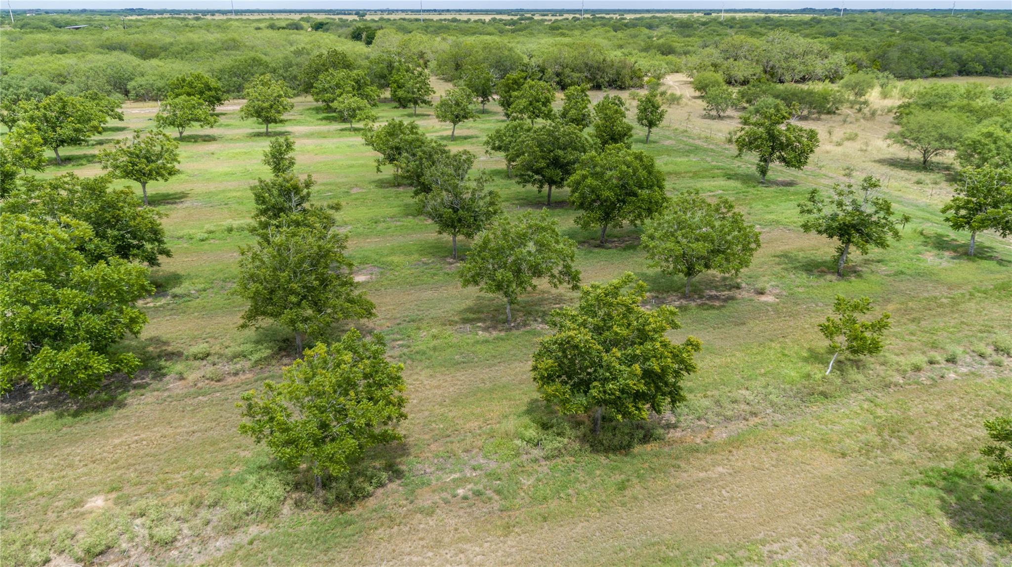 475 W County Road 418, Premont, TX 78375